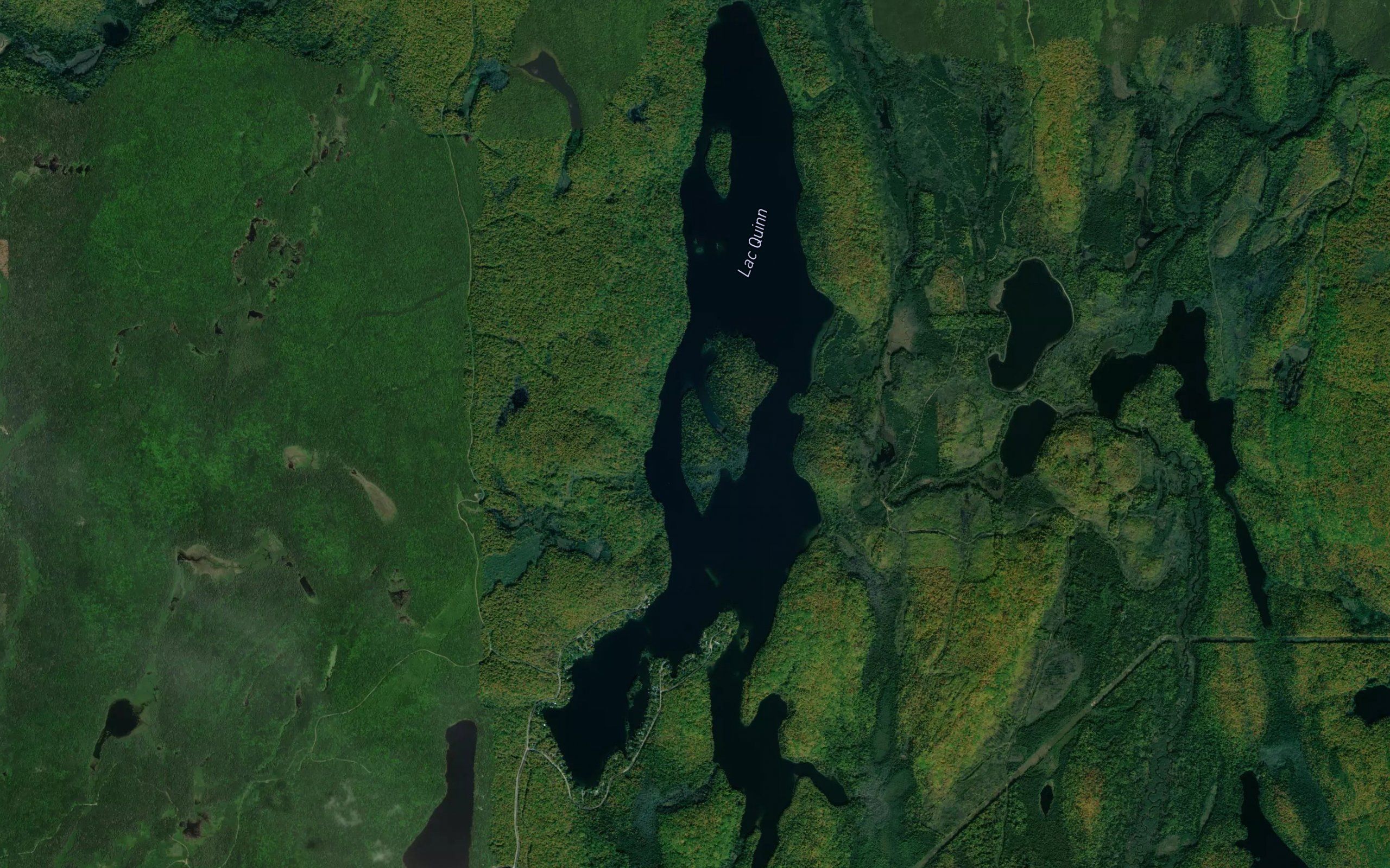 Lac Quinn