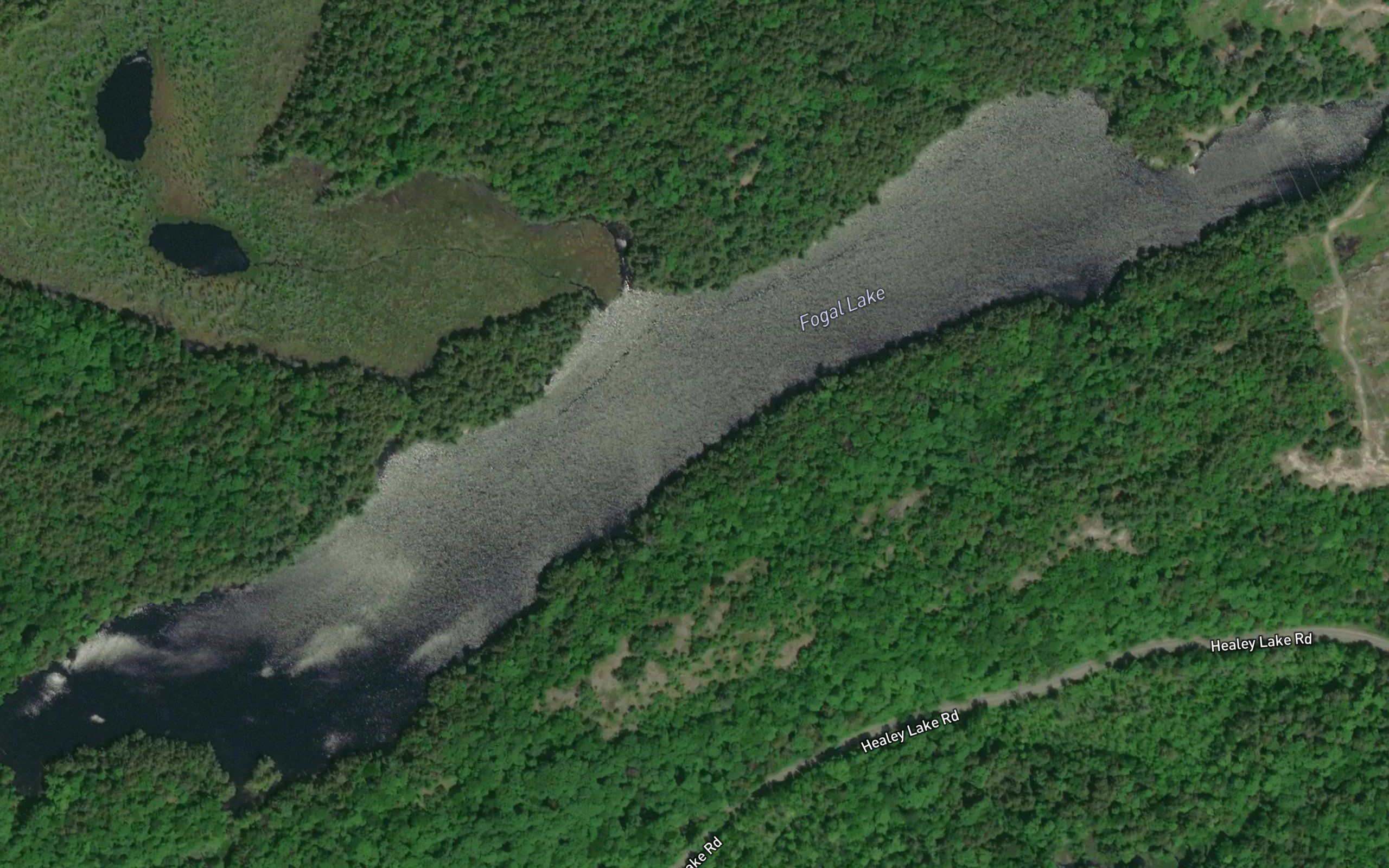 Fogal Lake