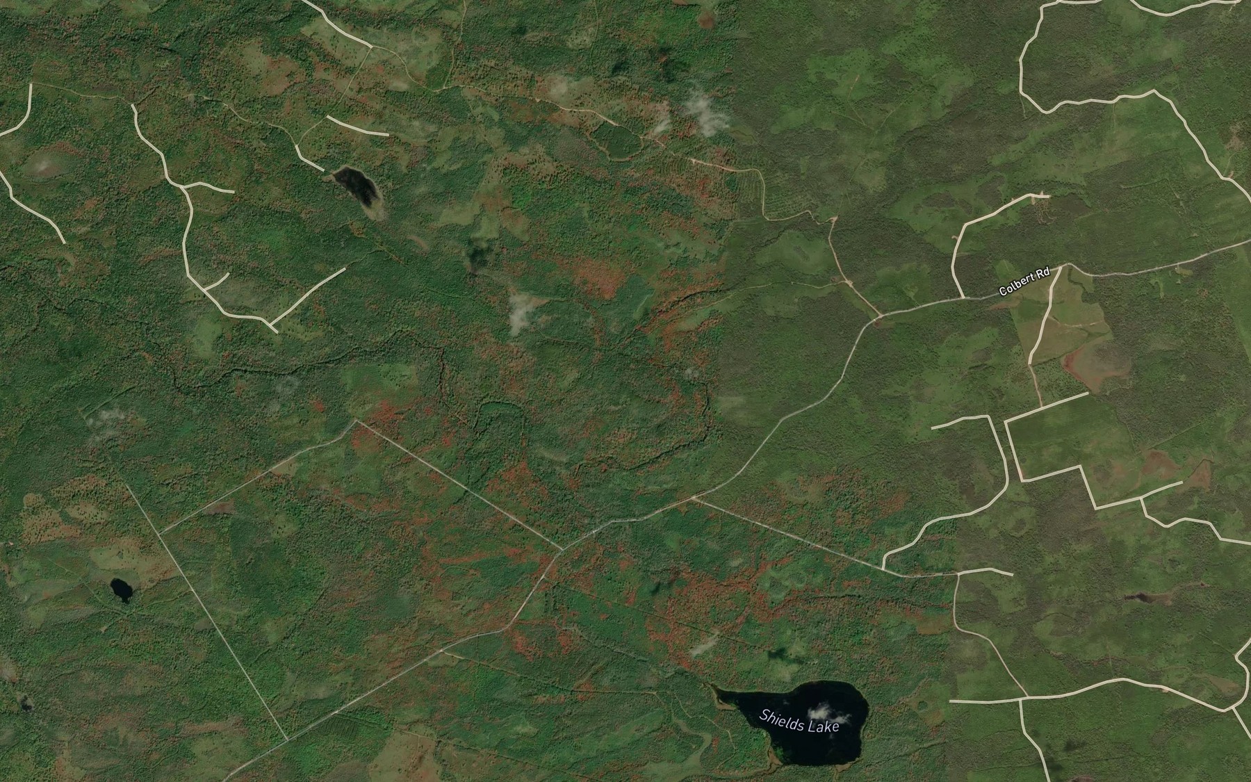 Satellite map of the Lake Brook
