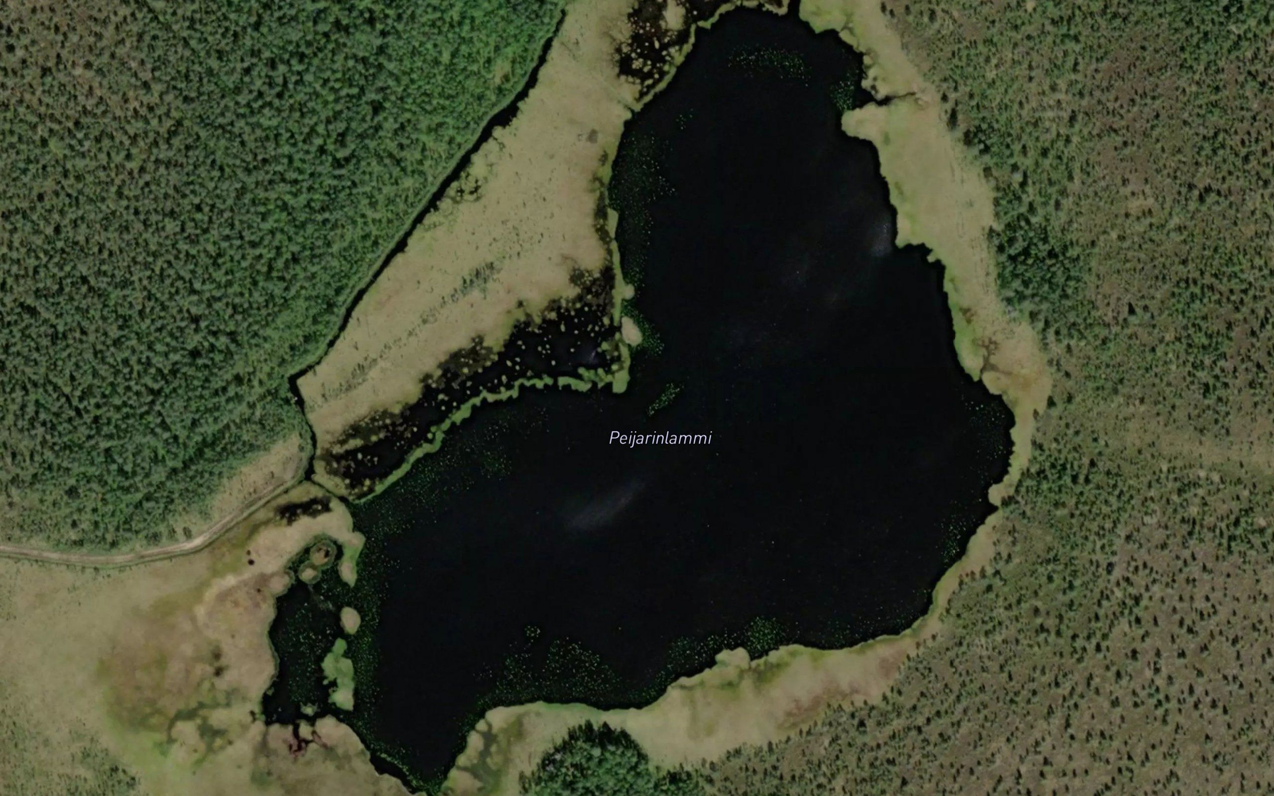 Peijarinlammi