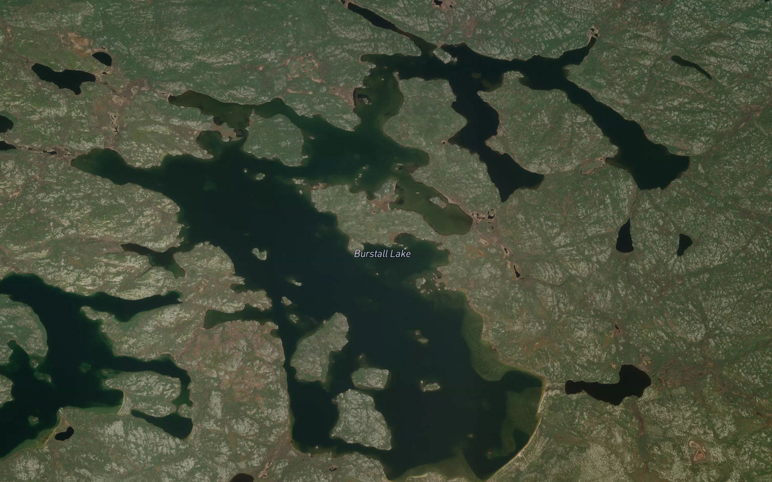 Burstall Lake