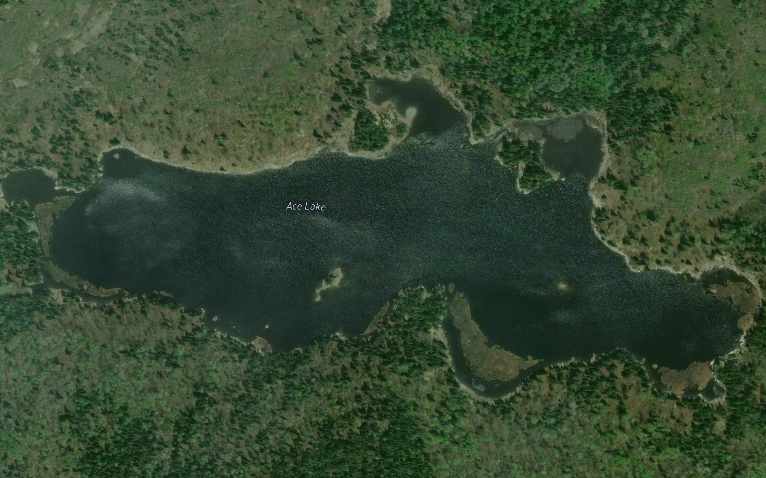 Ace Lake