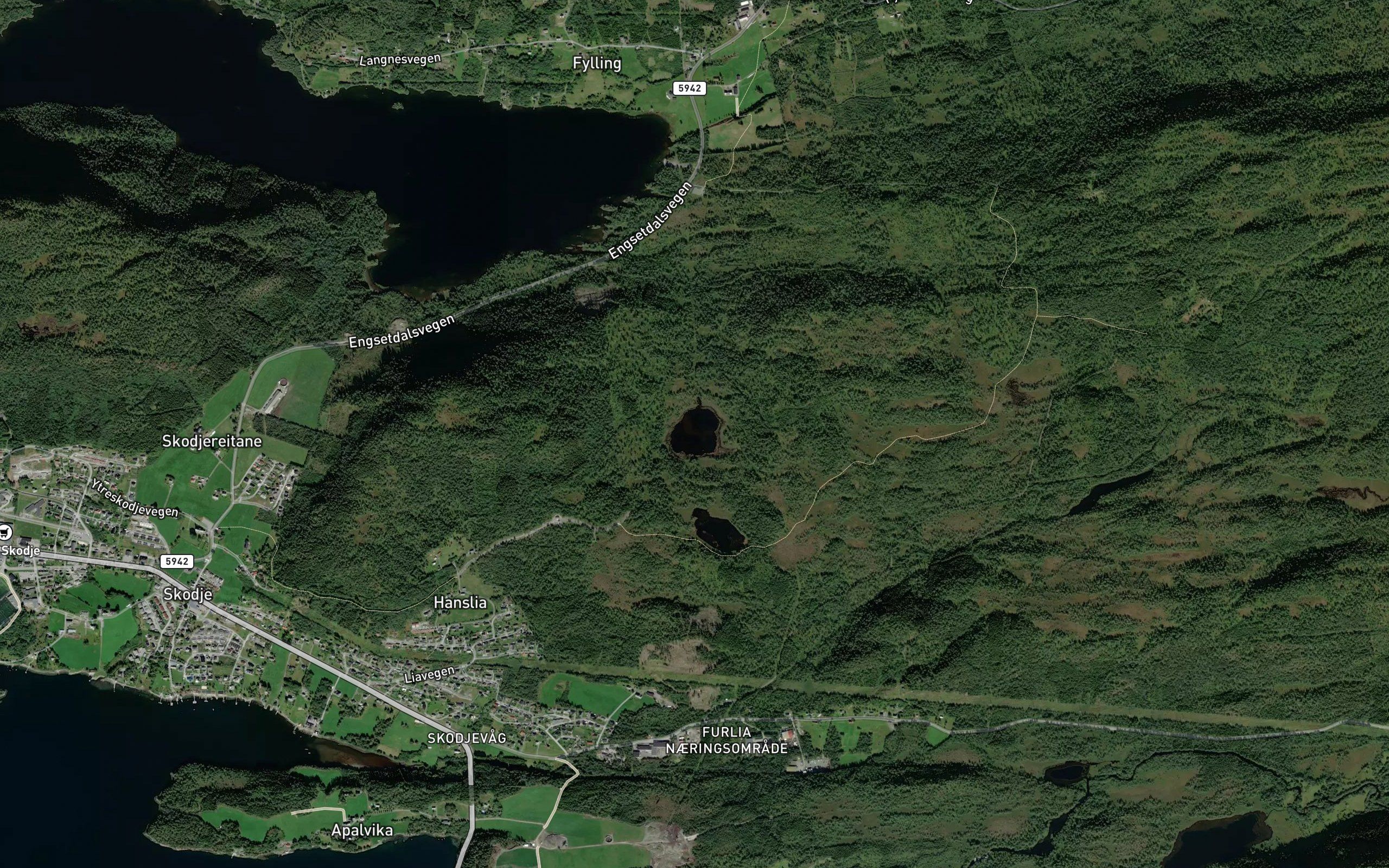 Stortjonna