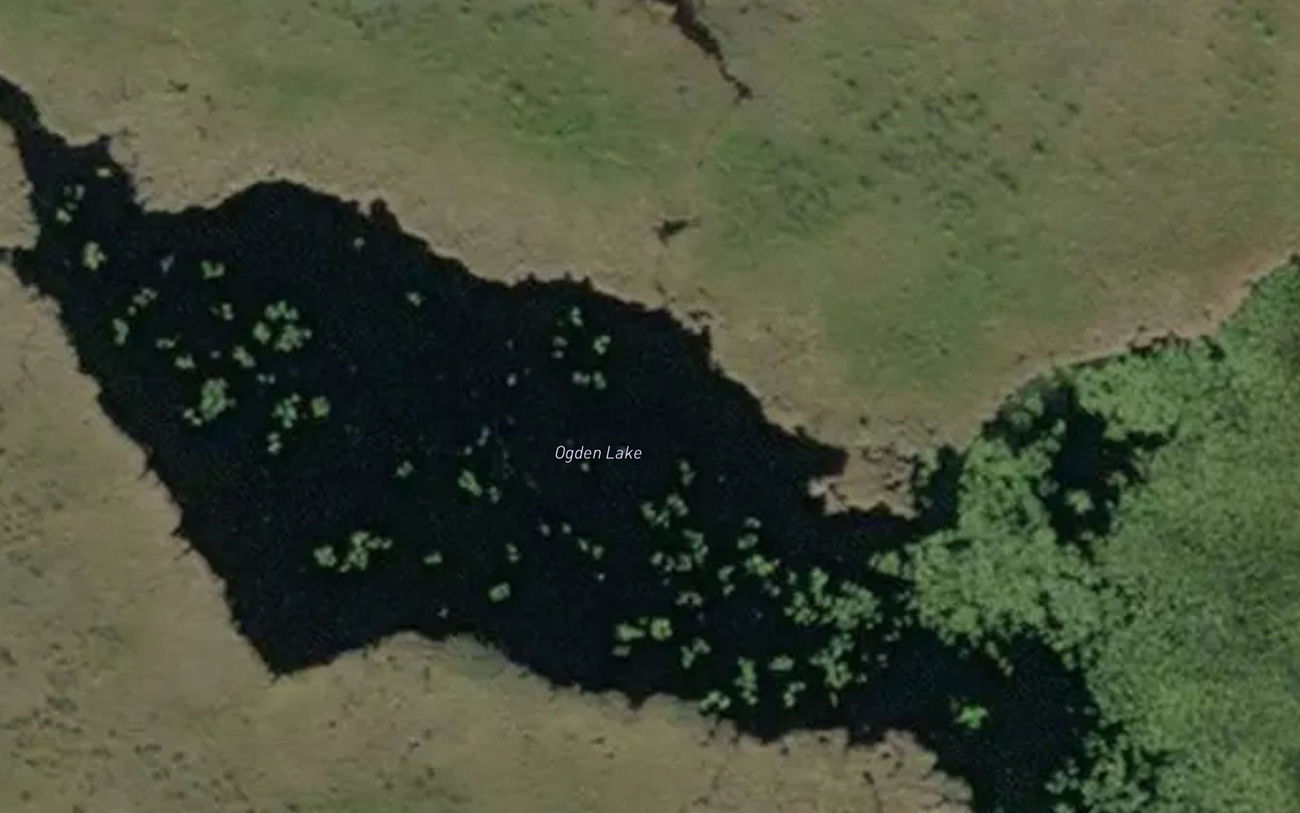 Ogden Lake