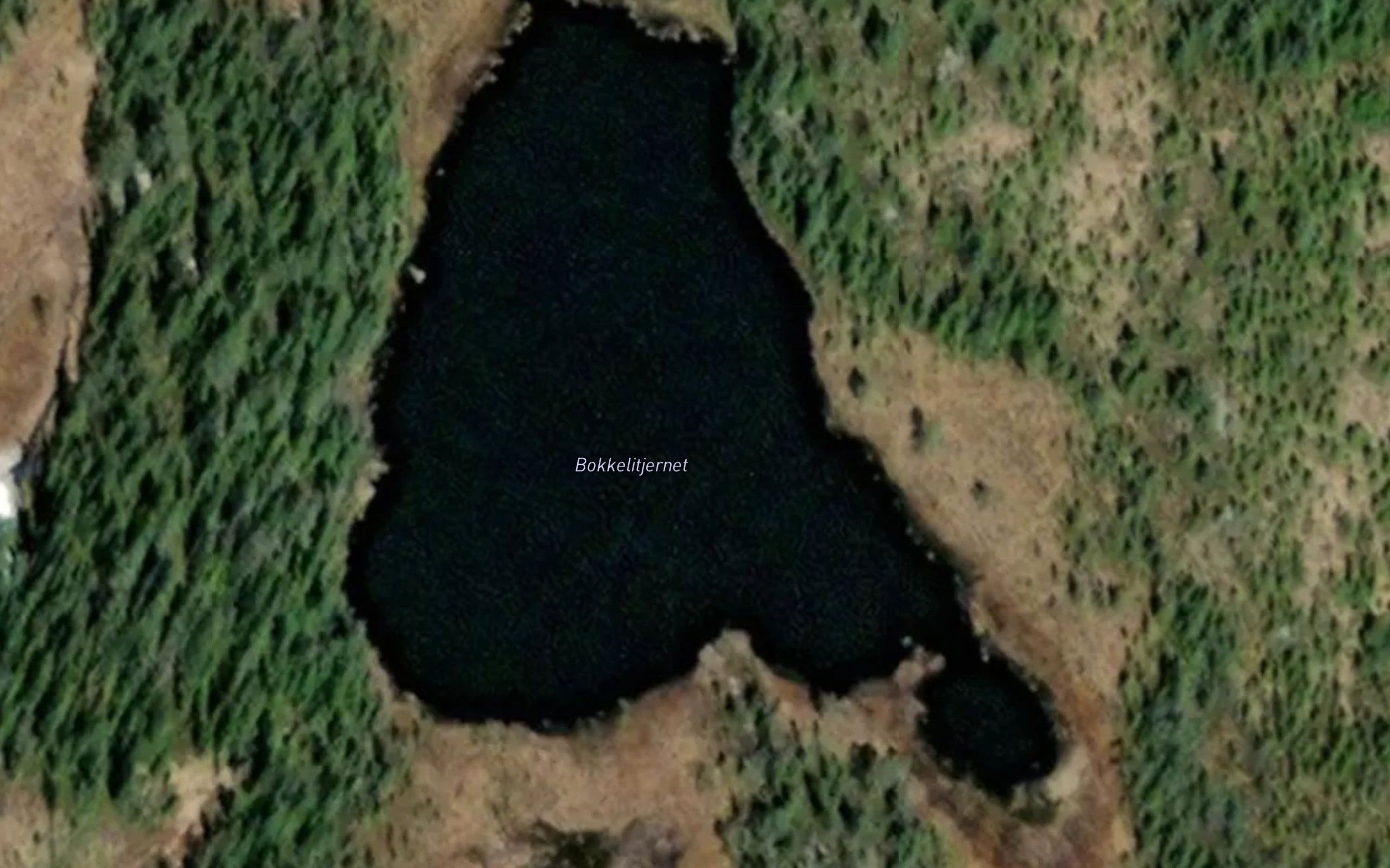 Bokkelitjednet