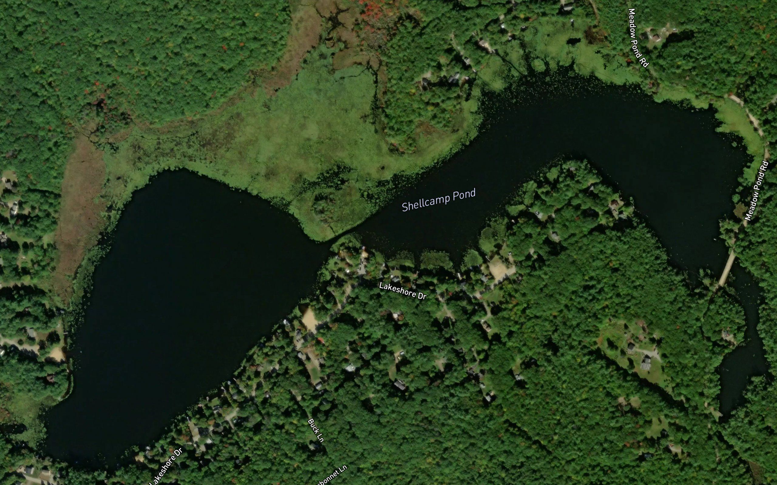 Shellcamp Pond