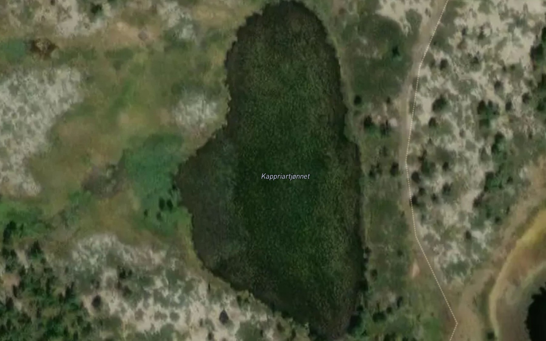 Satellite map of the Kappriartjonnet