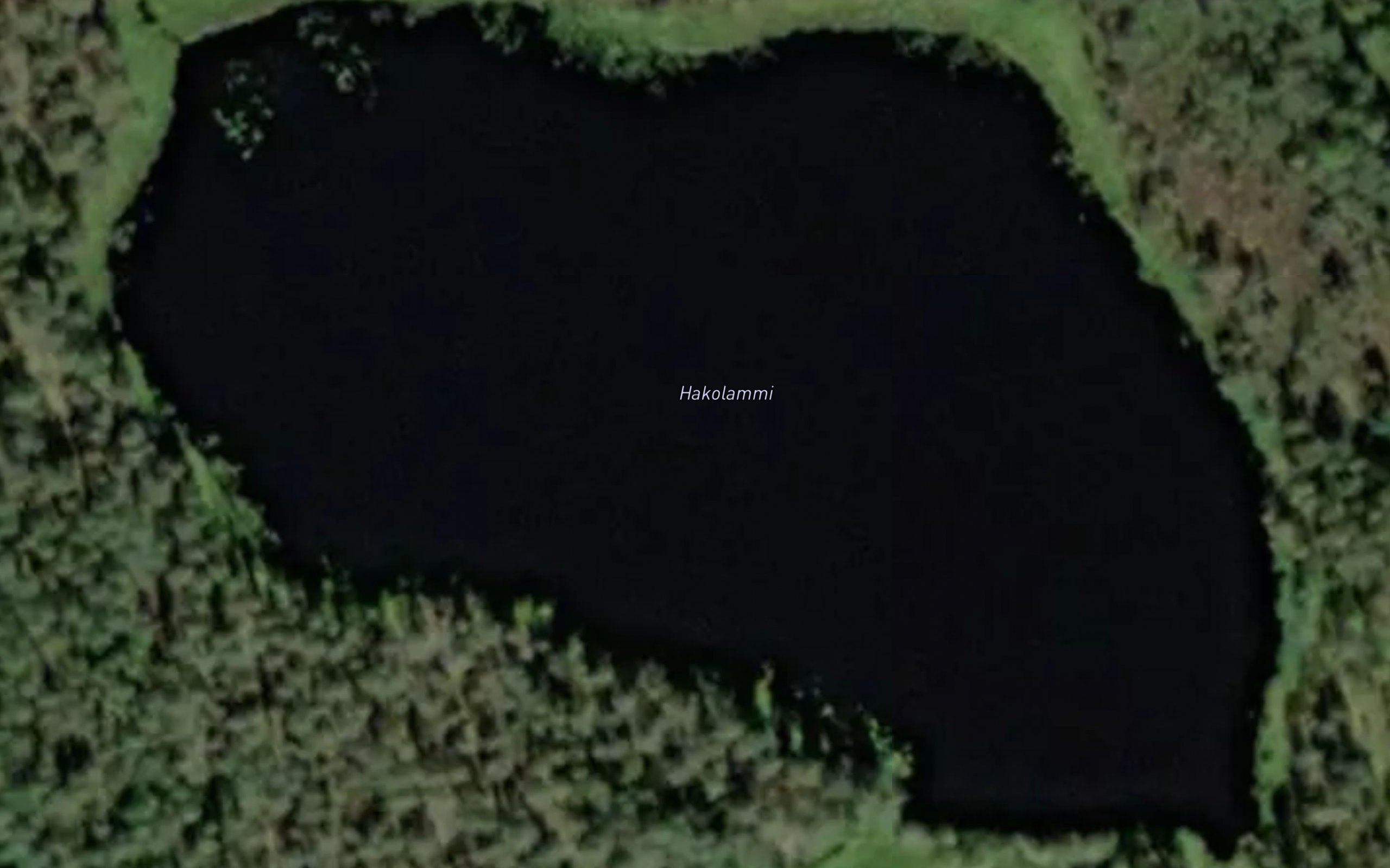 Hakolammi