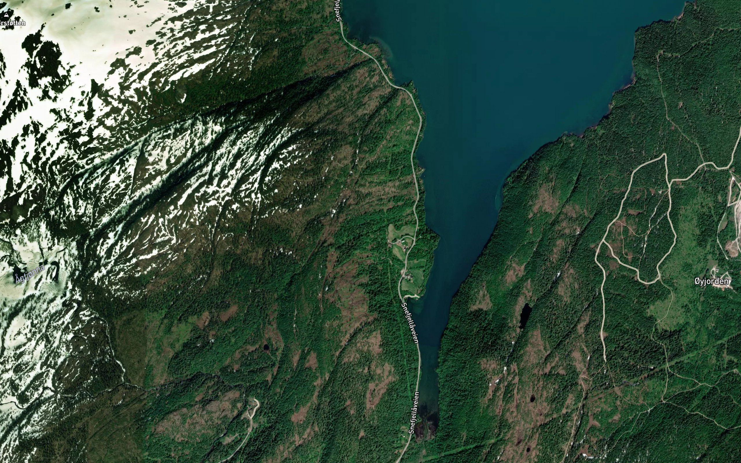 Fjellryggbekken