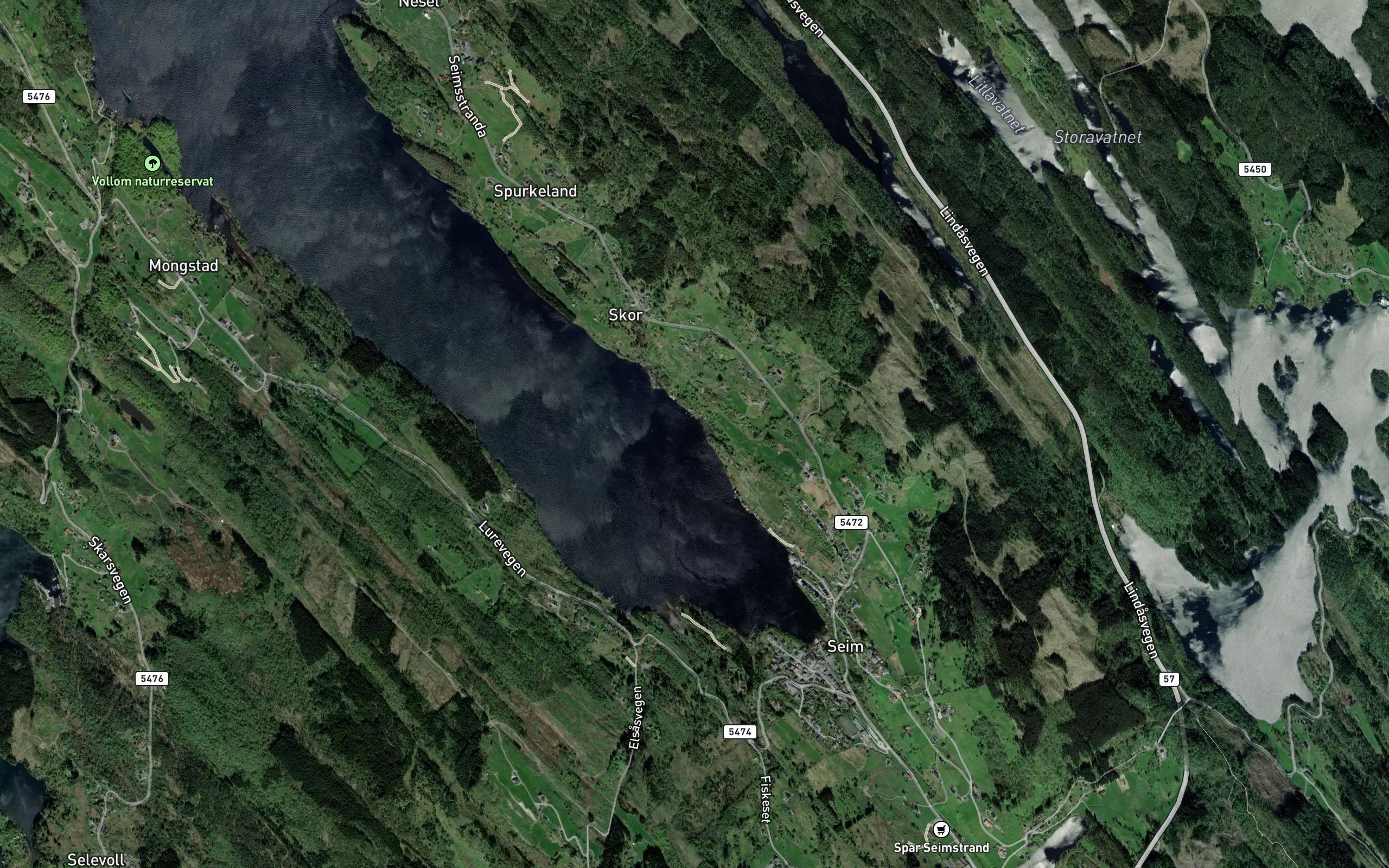 Holtavika
