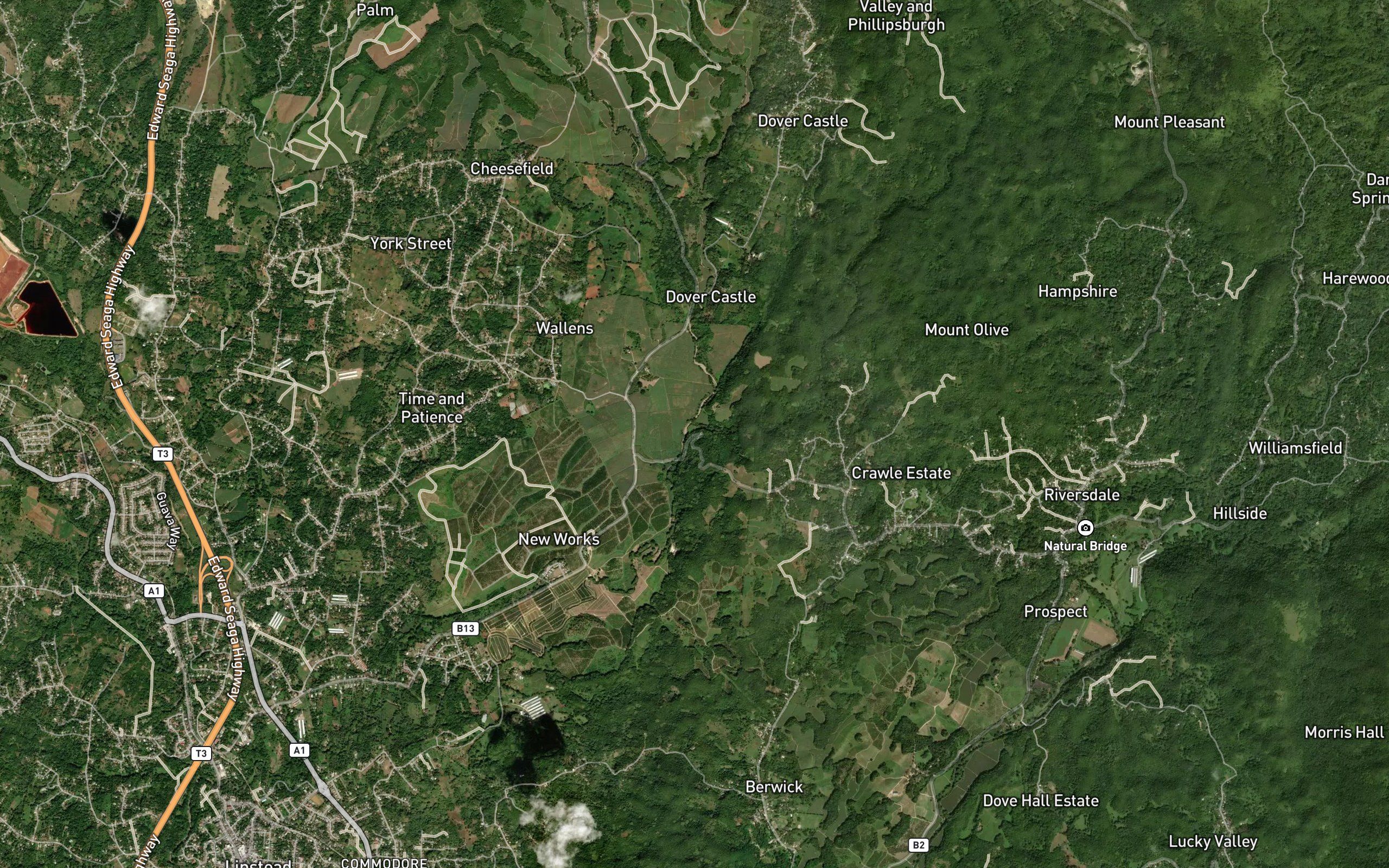 Palmetto Gully