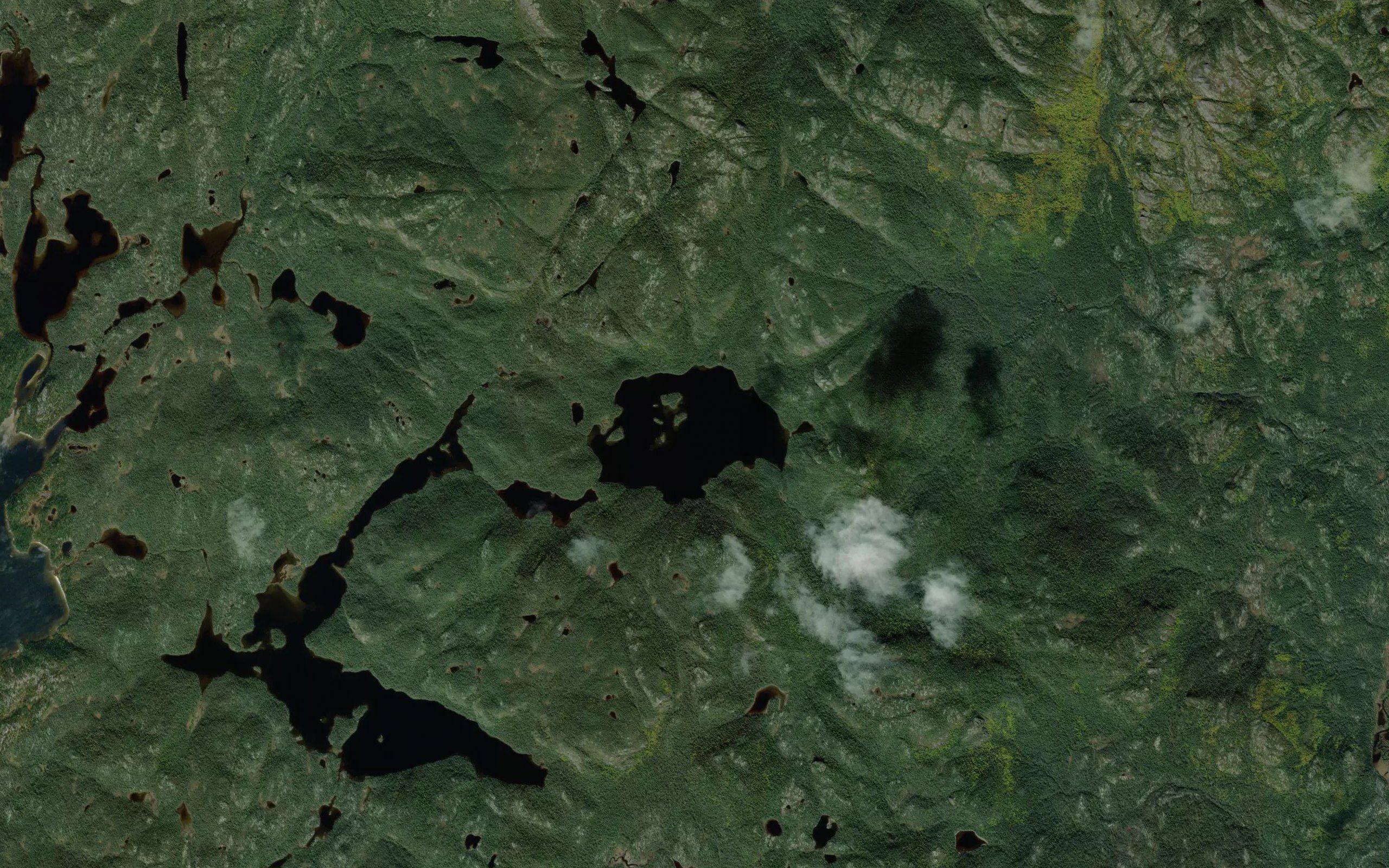 Lac de la Renoncule