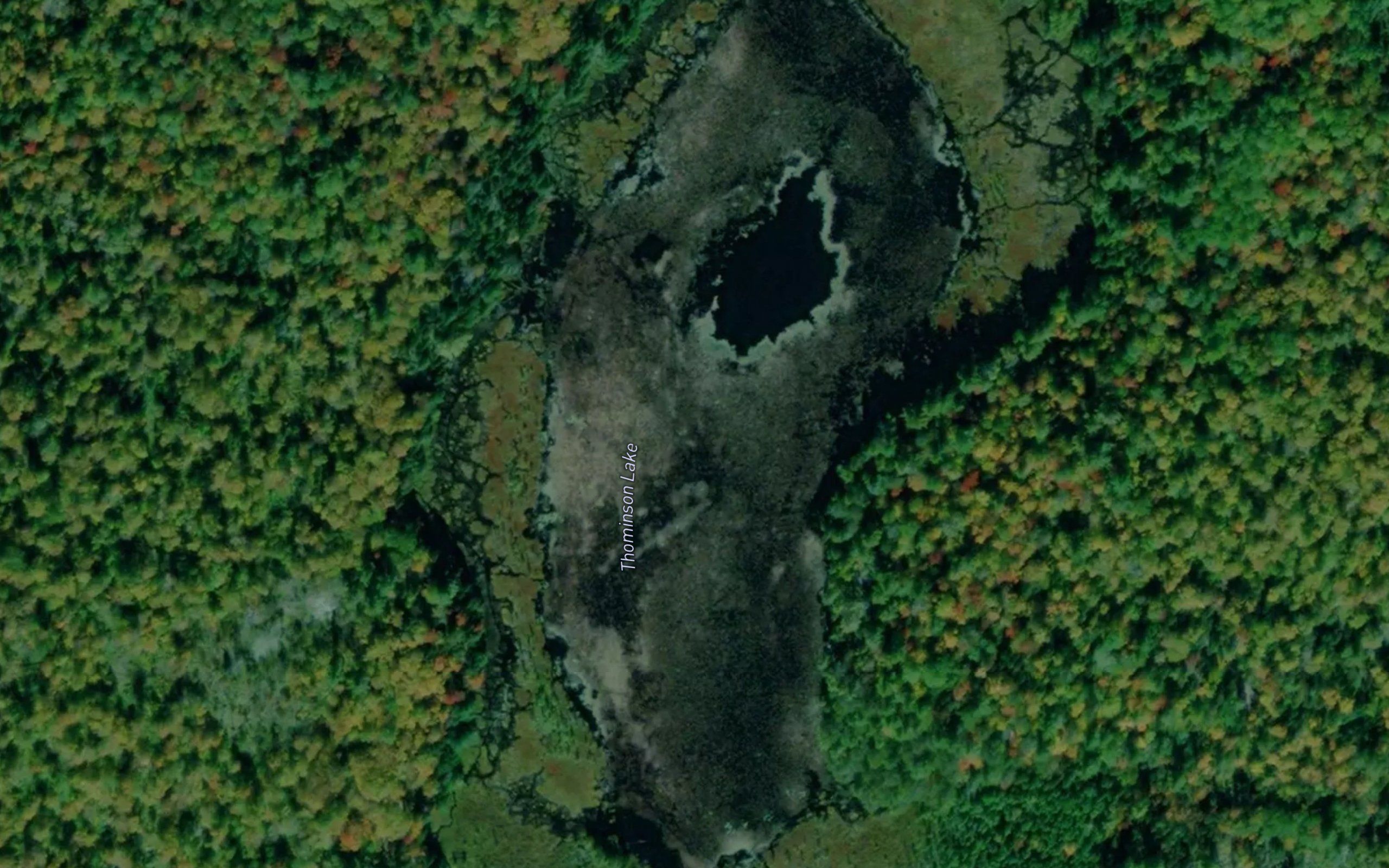 Thominson Lake