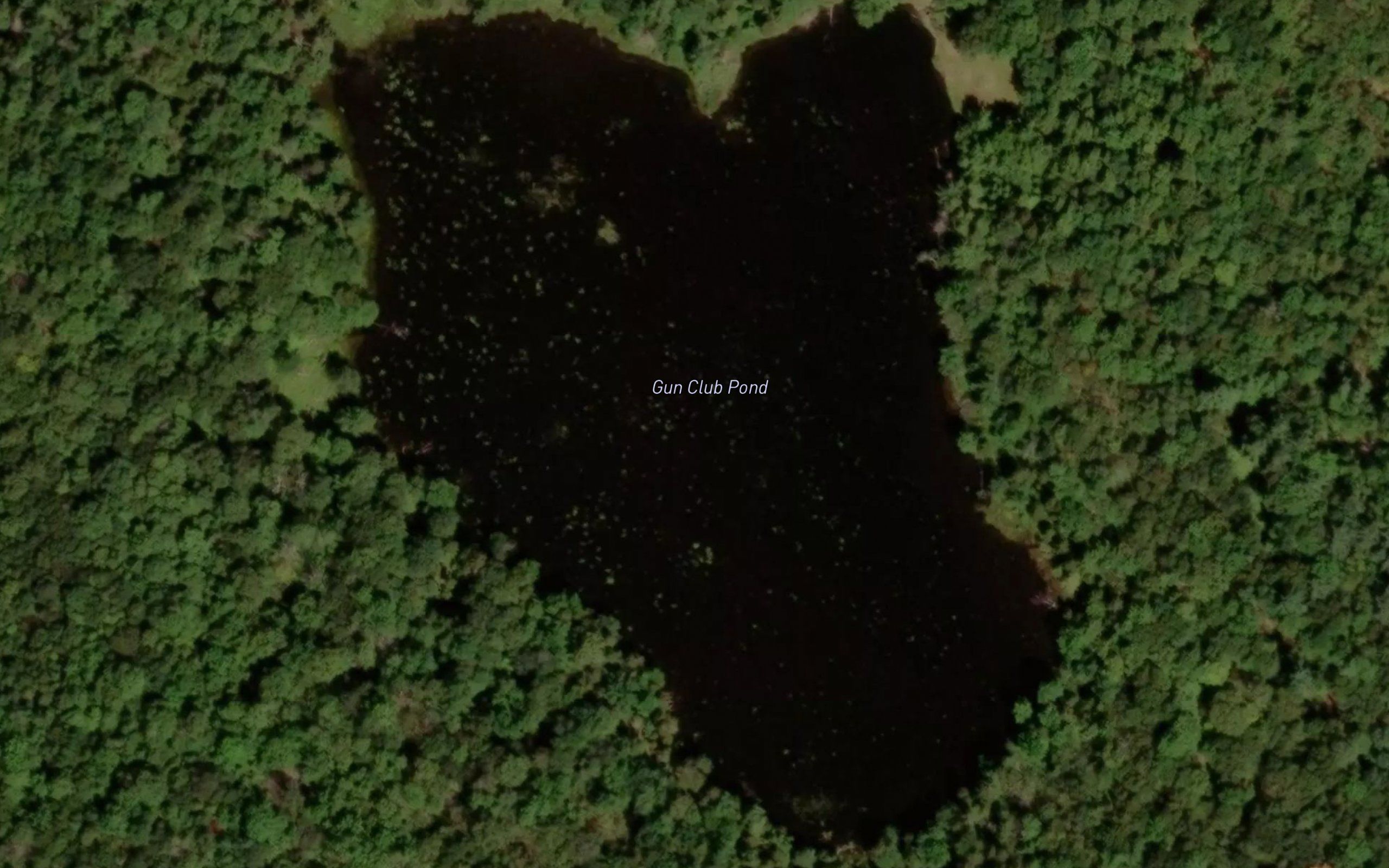 Gun Club Pond