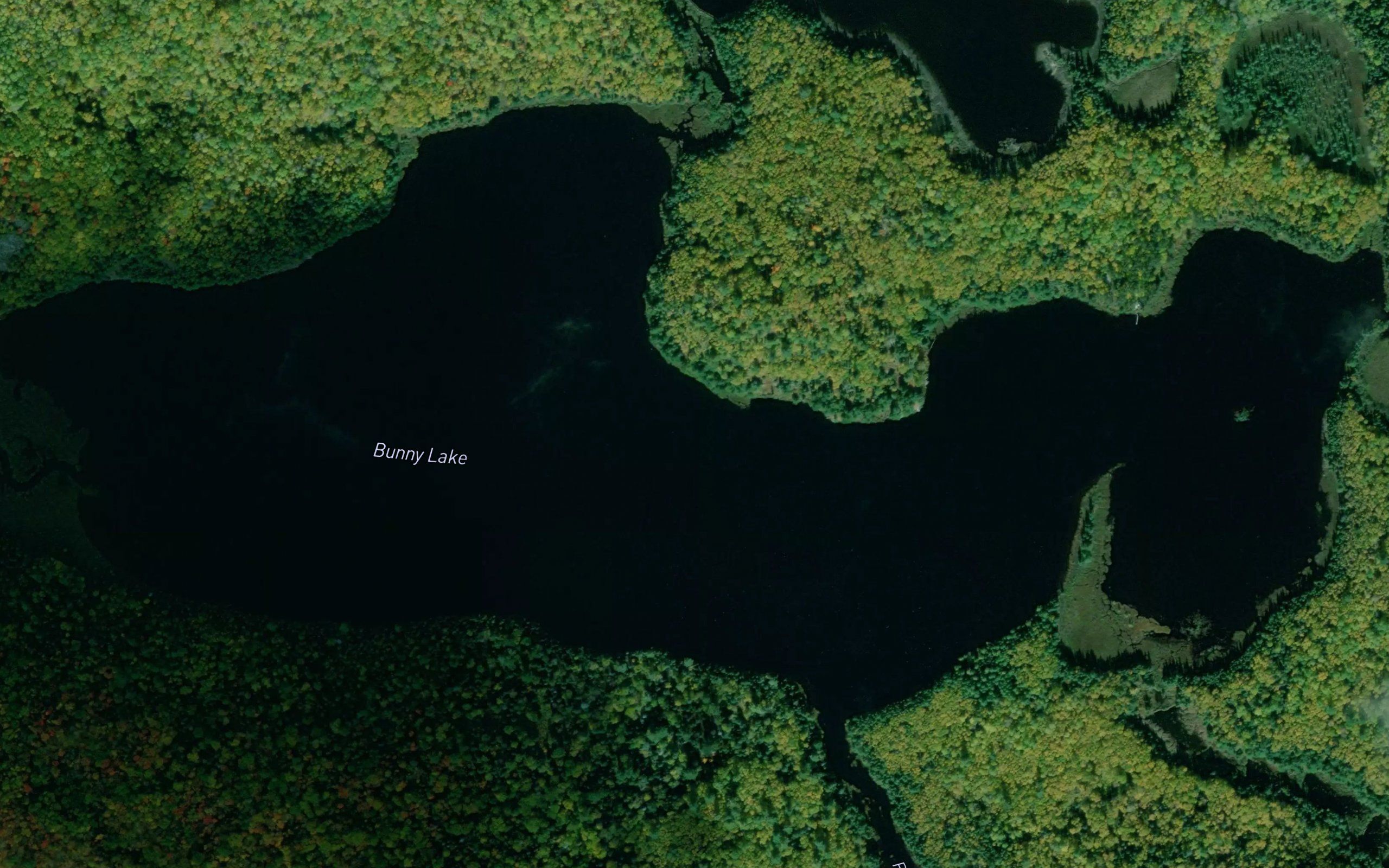 Bunny Lake