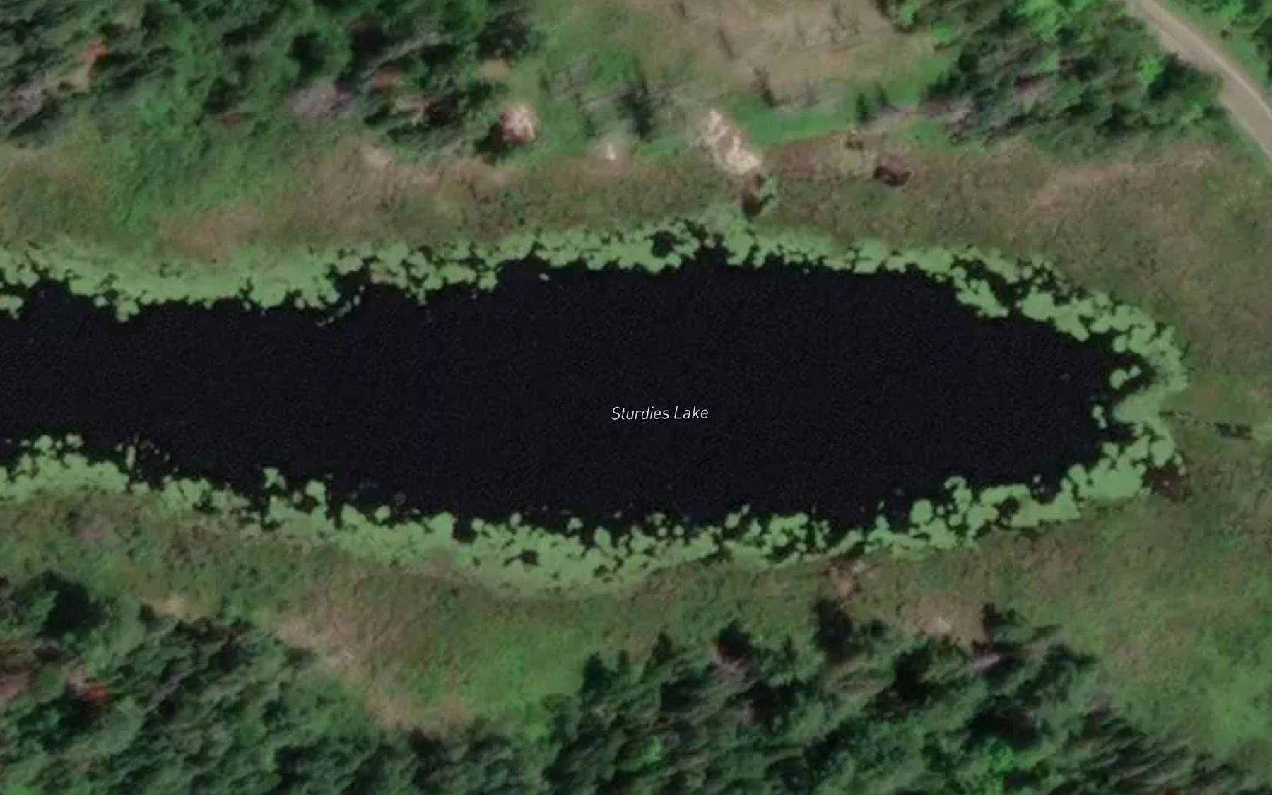 Satellite map of the Sturdies Lake