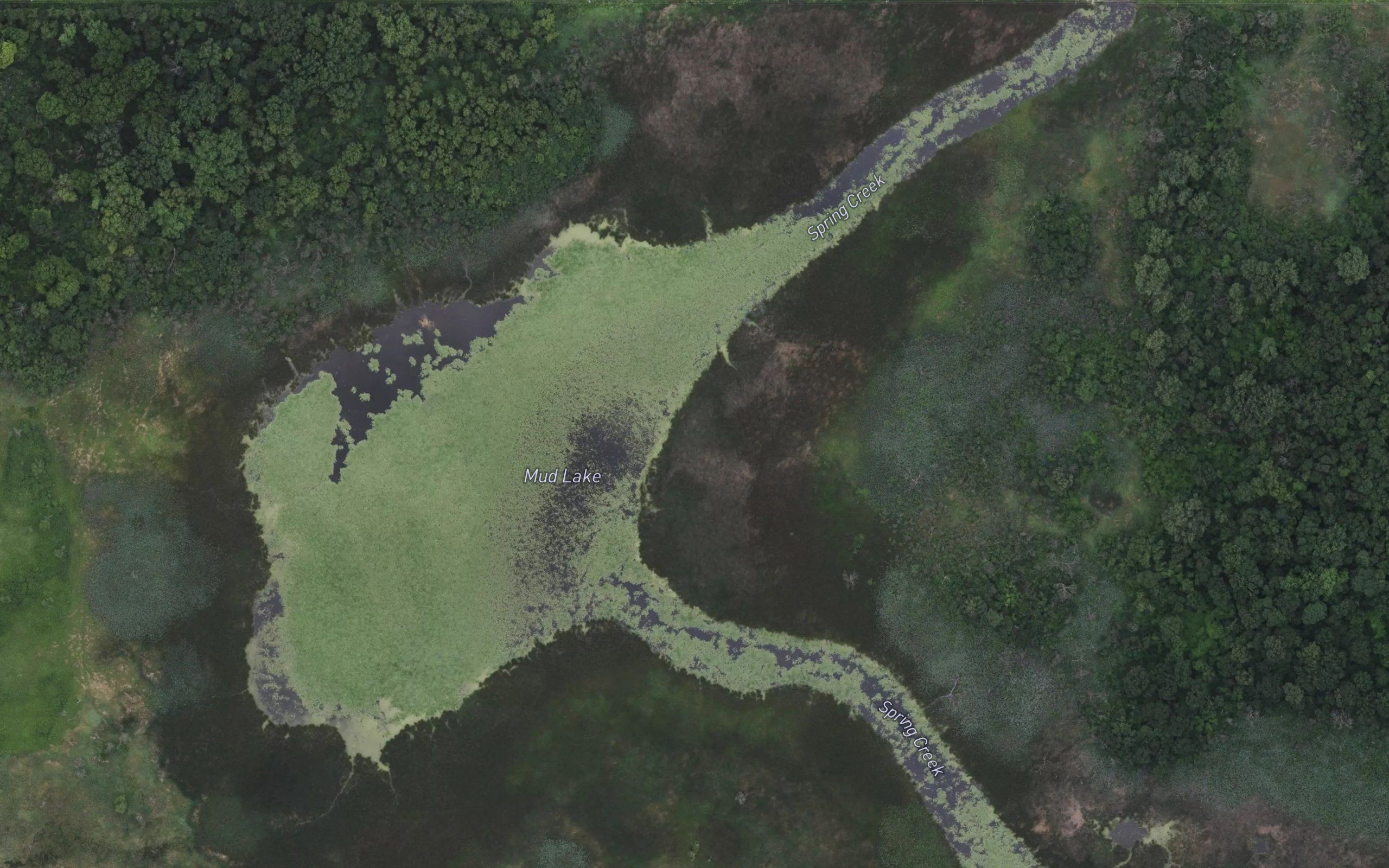 Mud Lake