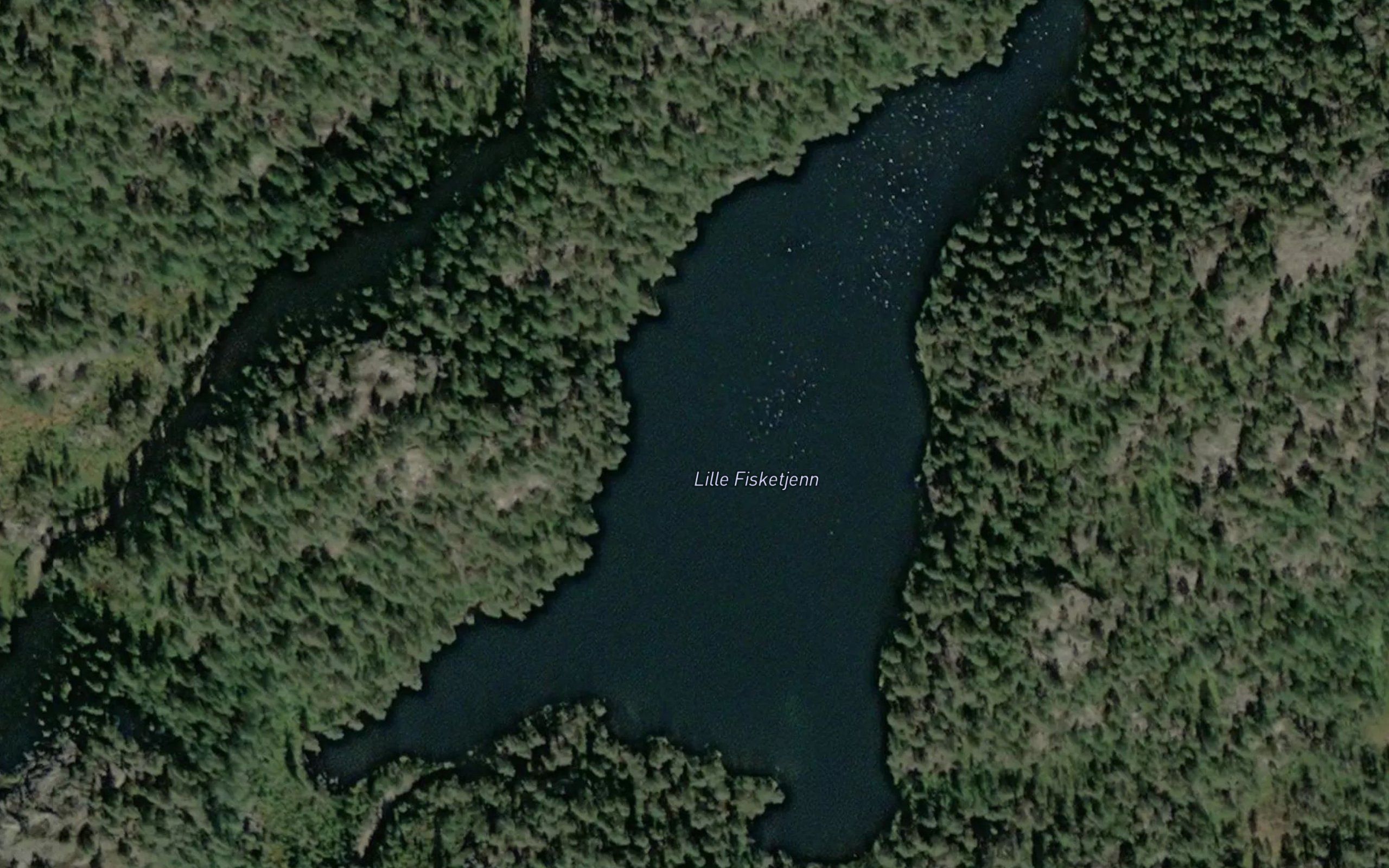 Fisktjenn,l