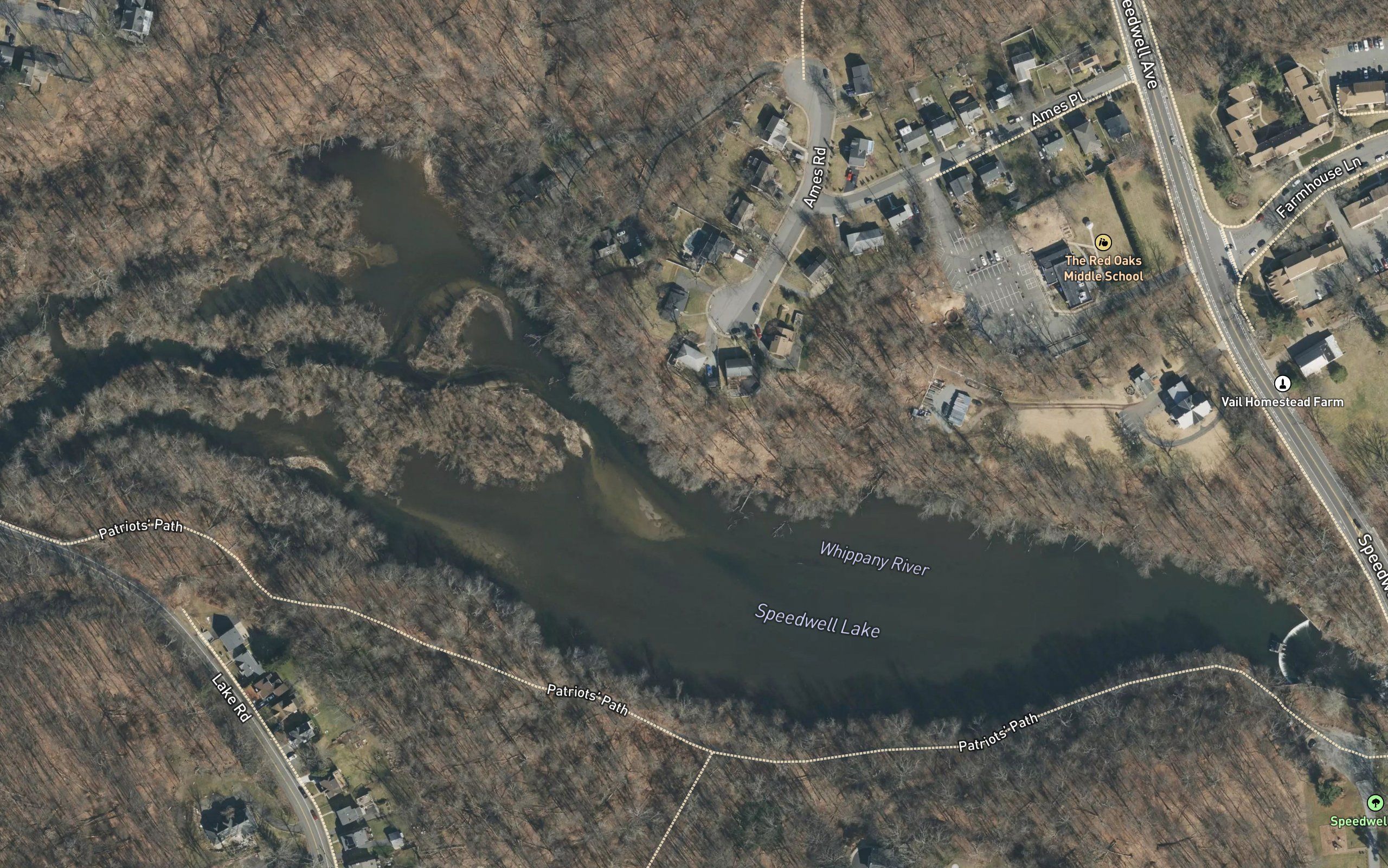 Speedwell Lake