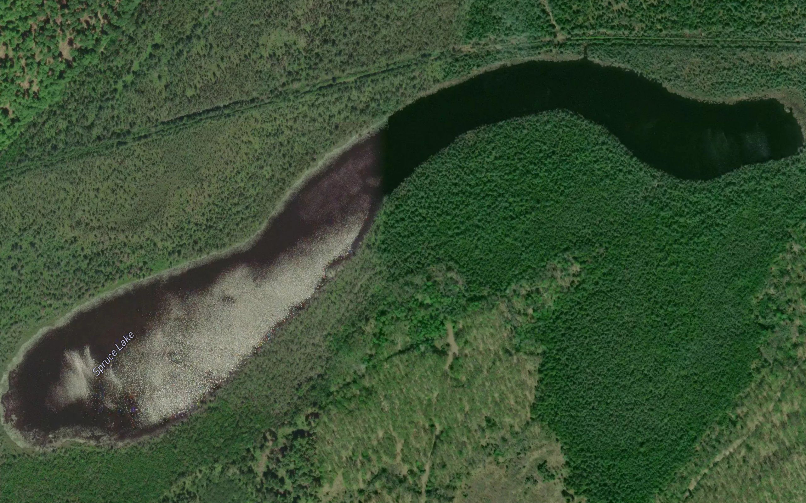 Spruce Lake