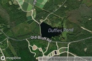 Duffies Pond