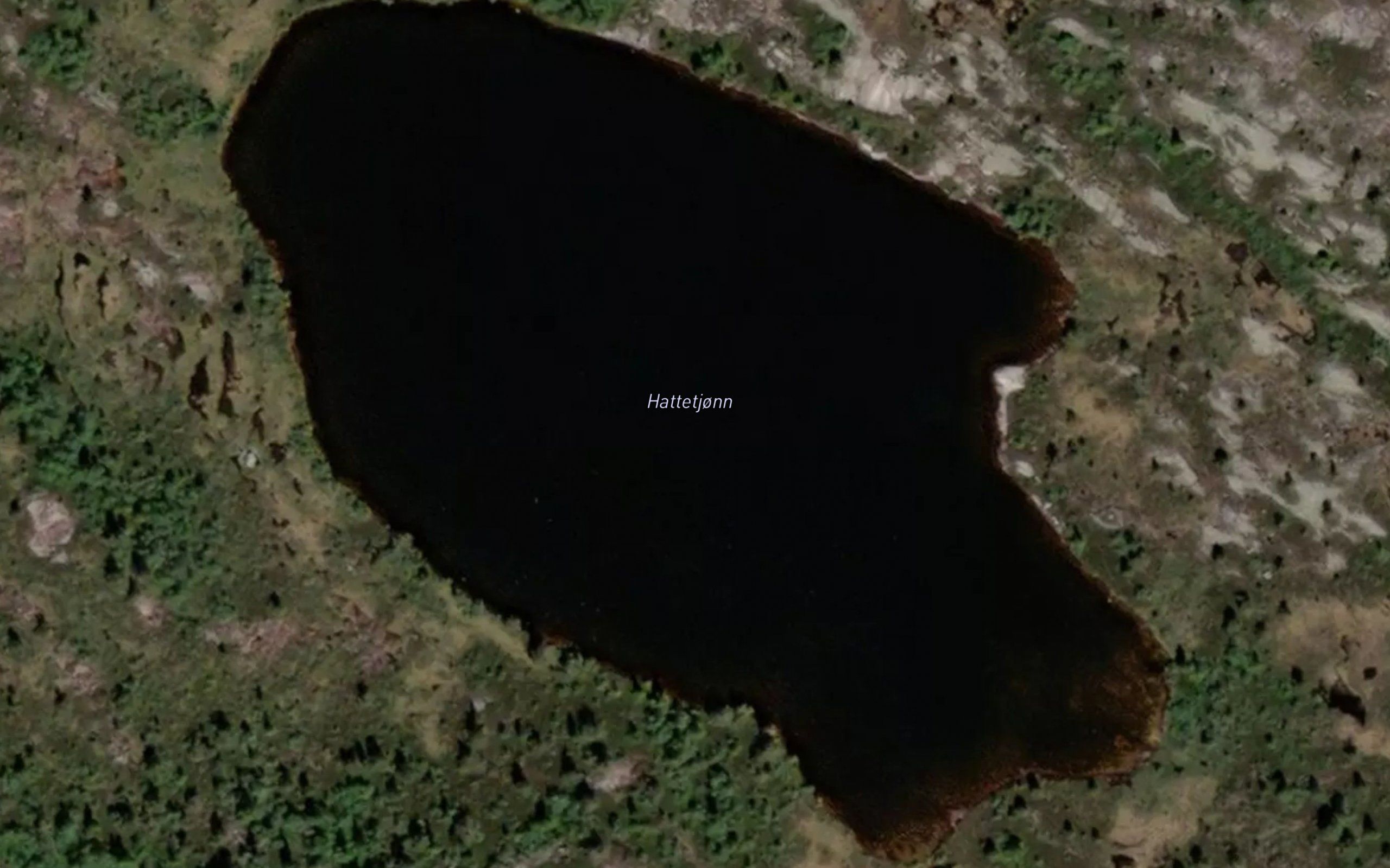 Hattetjorn