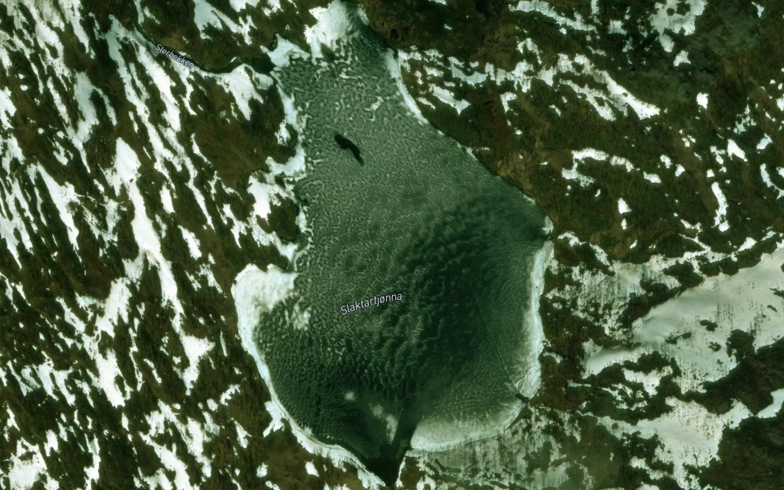Slaktartjorna,store