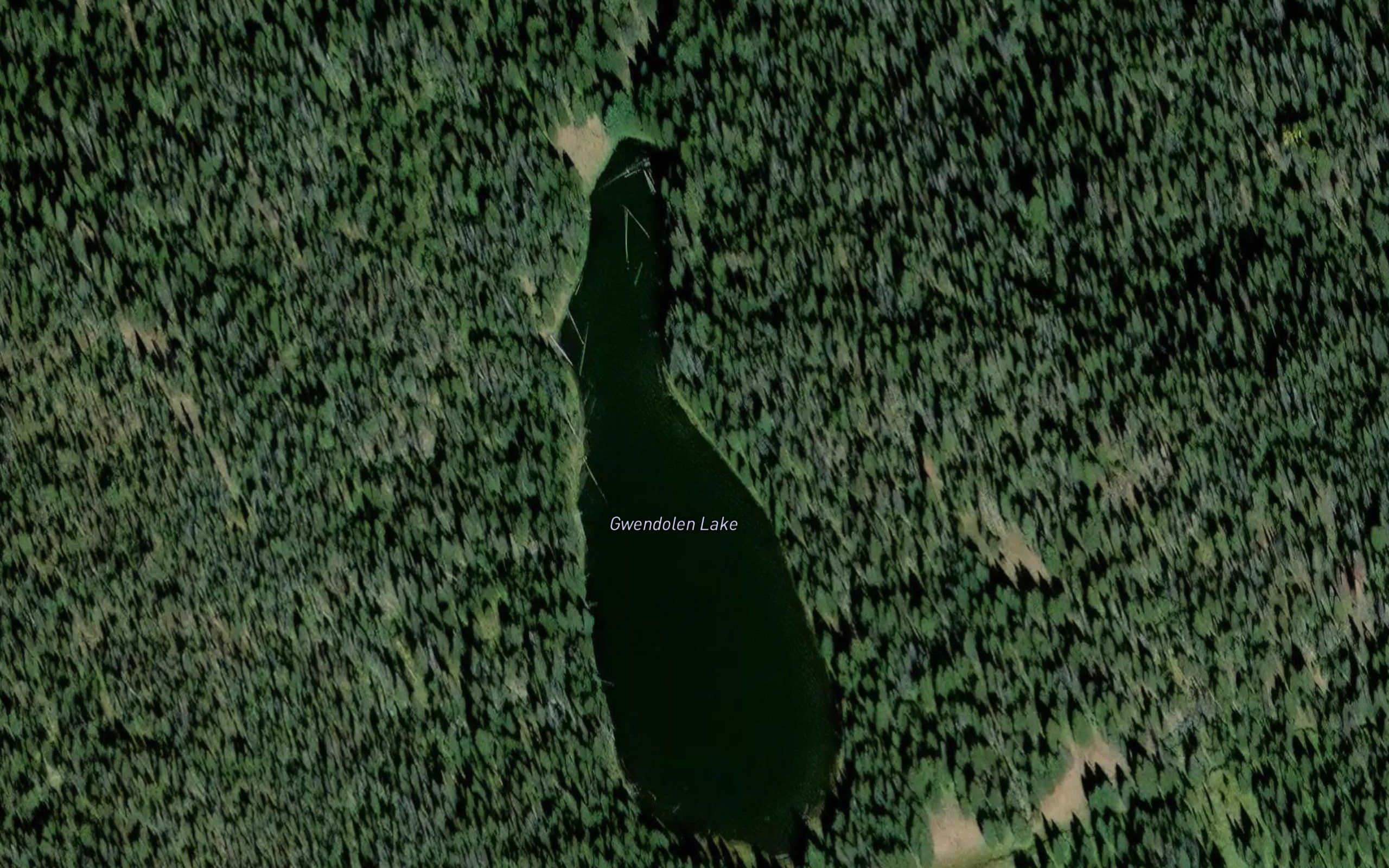 Gwendolen Lake