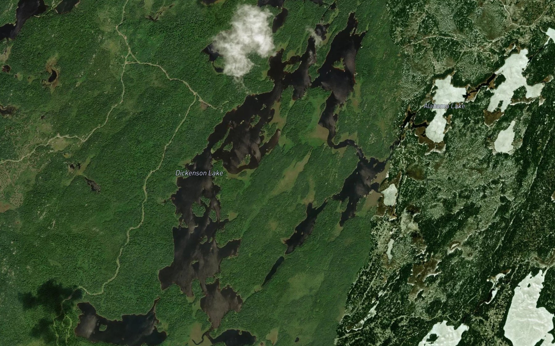 Satellite map of the Mack Lake
