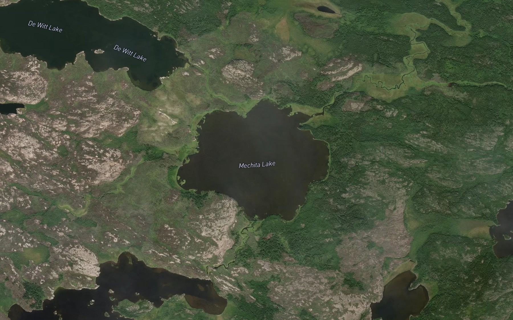 Satellite map of the Mechita Lake