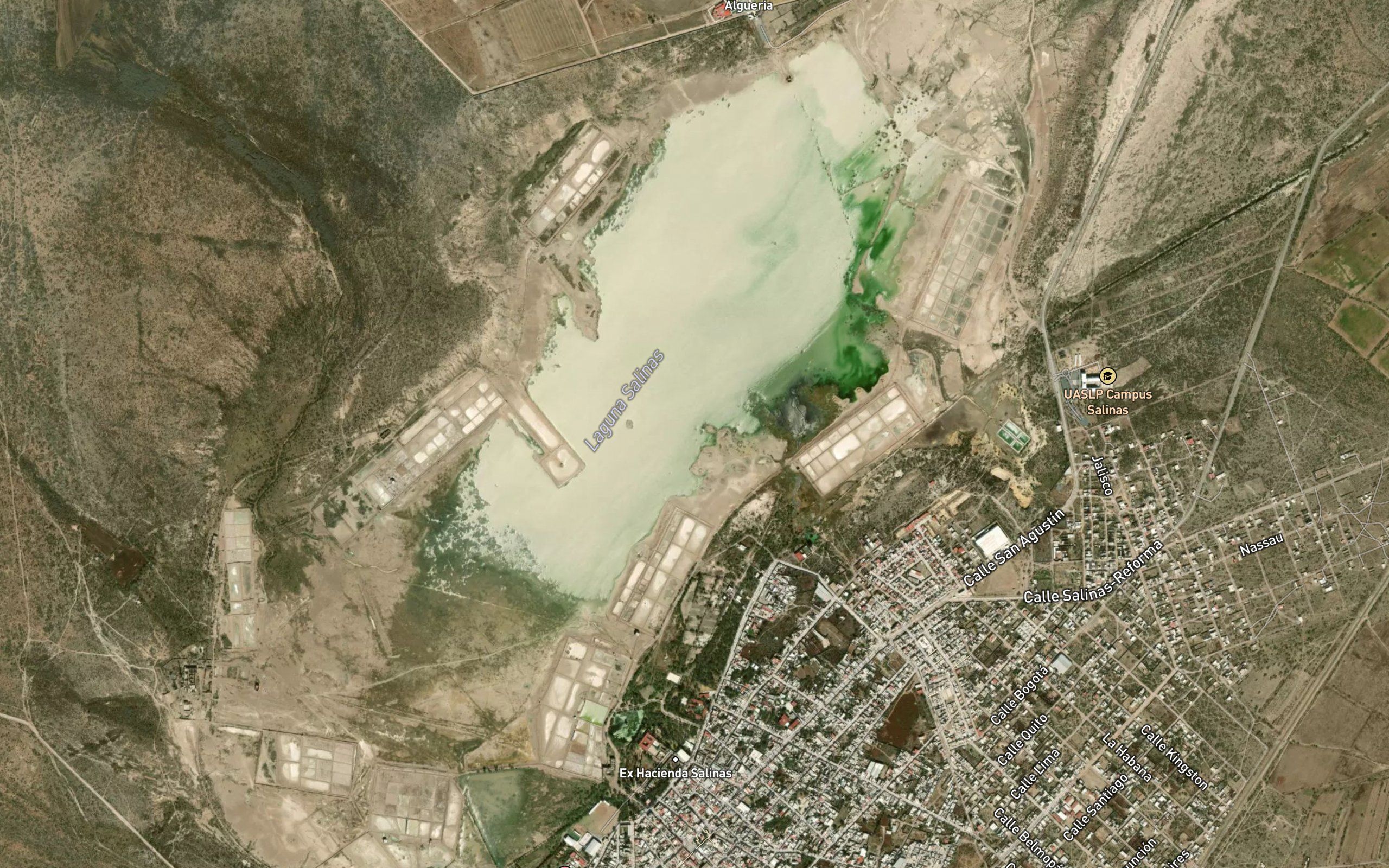 Laguna Salinas