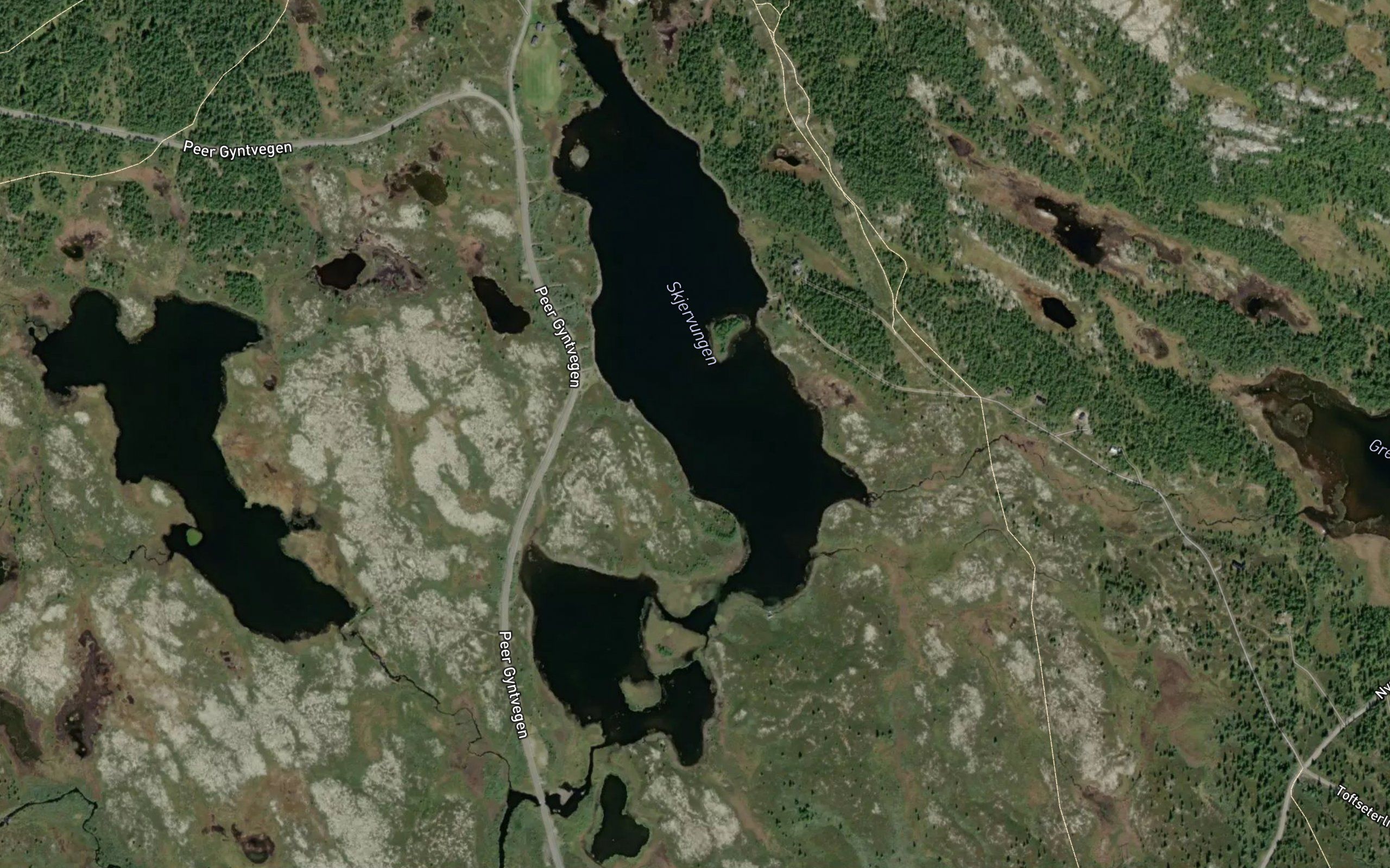 Skjervongen