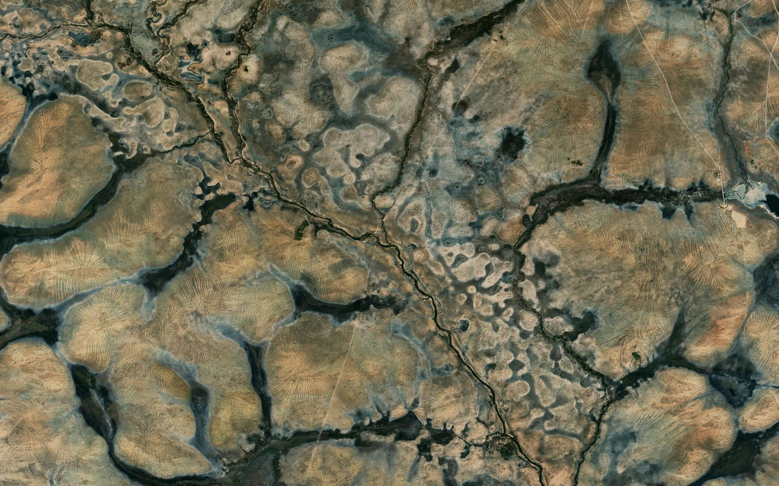 Igarape da Raposa