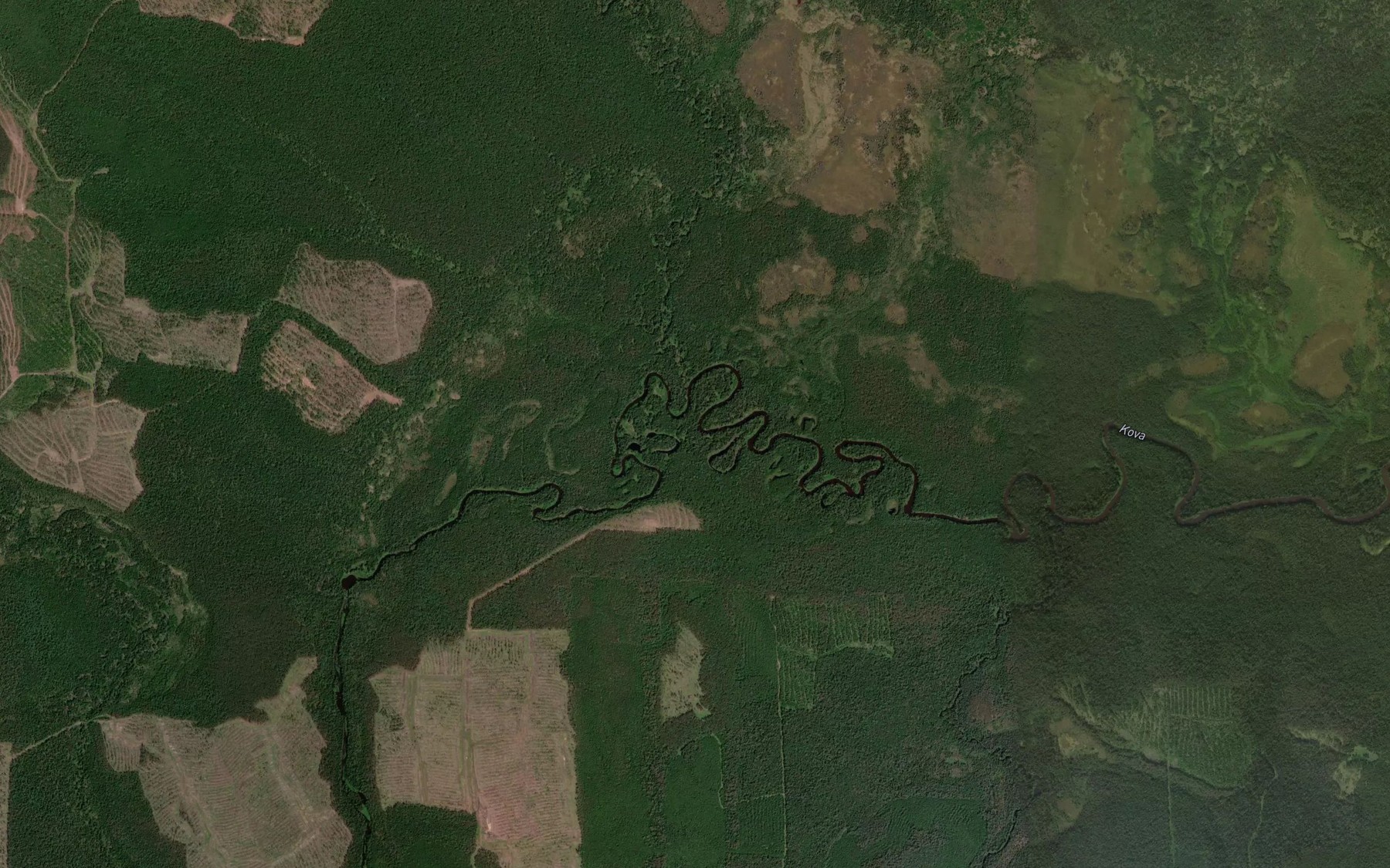 Satellite map of the Bol'shaya Zhelonka