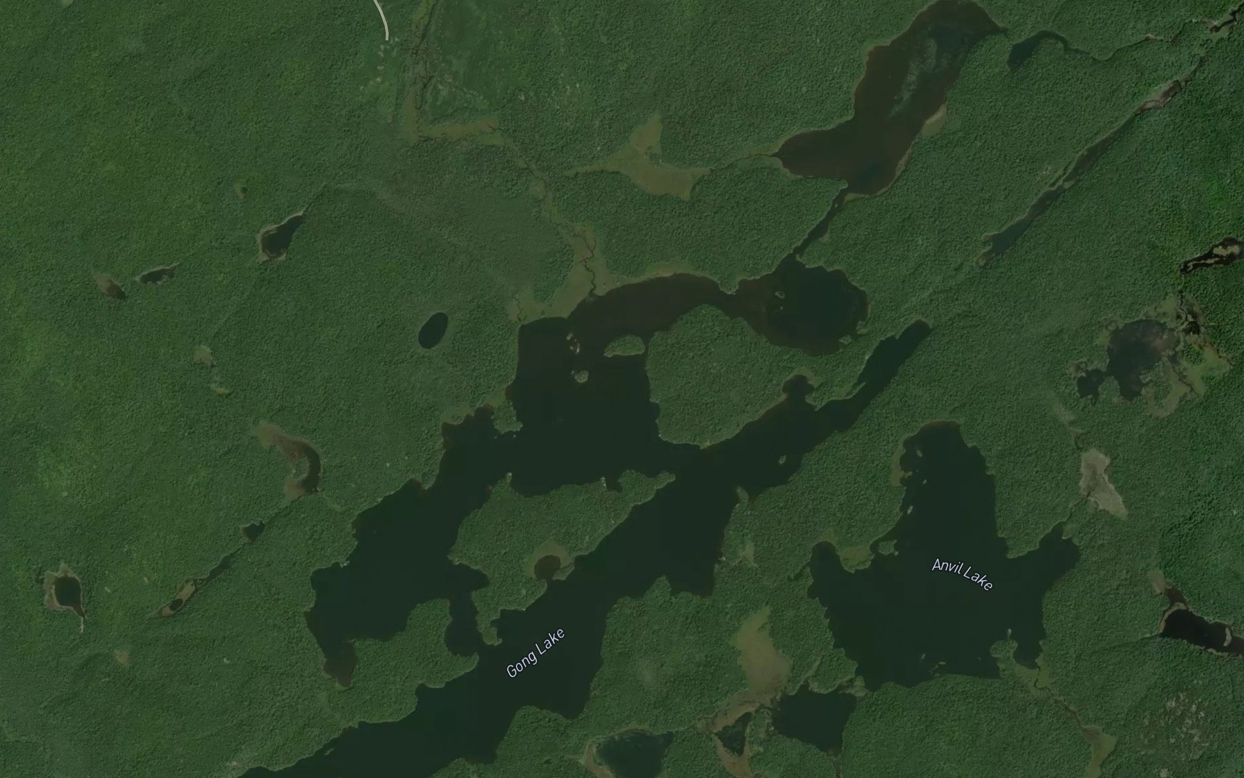Satellite map of the Gong Lake