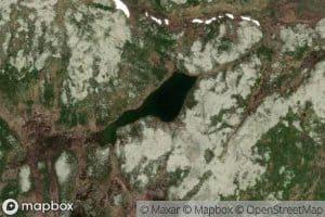 Fjelltjorna