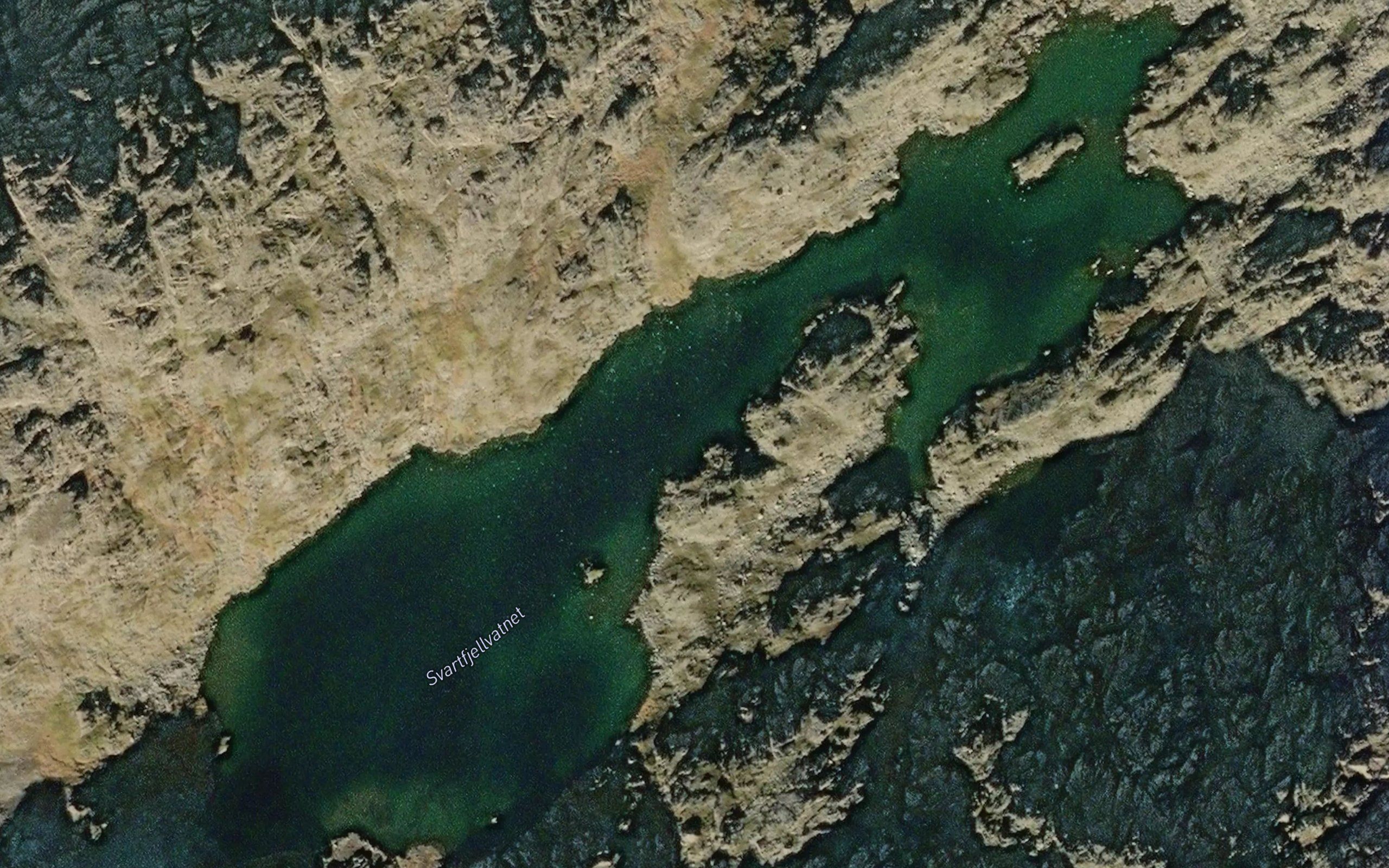 Svartfjellvatnet