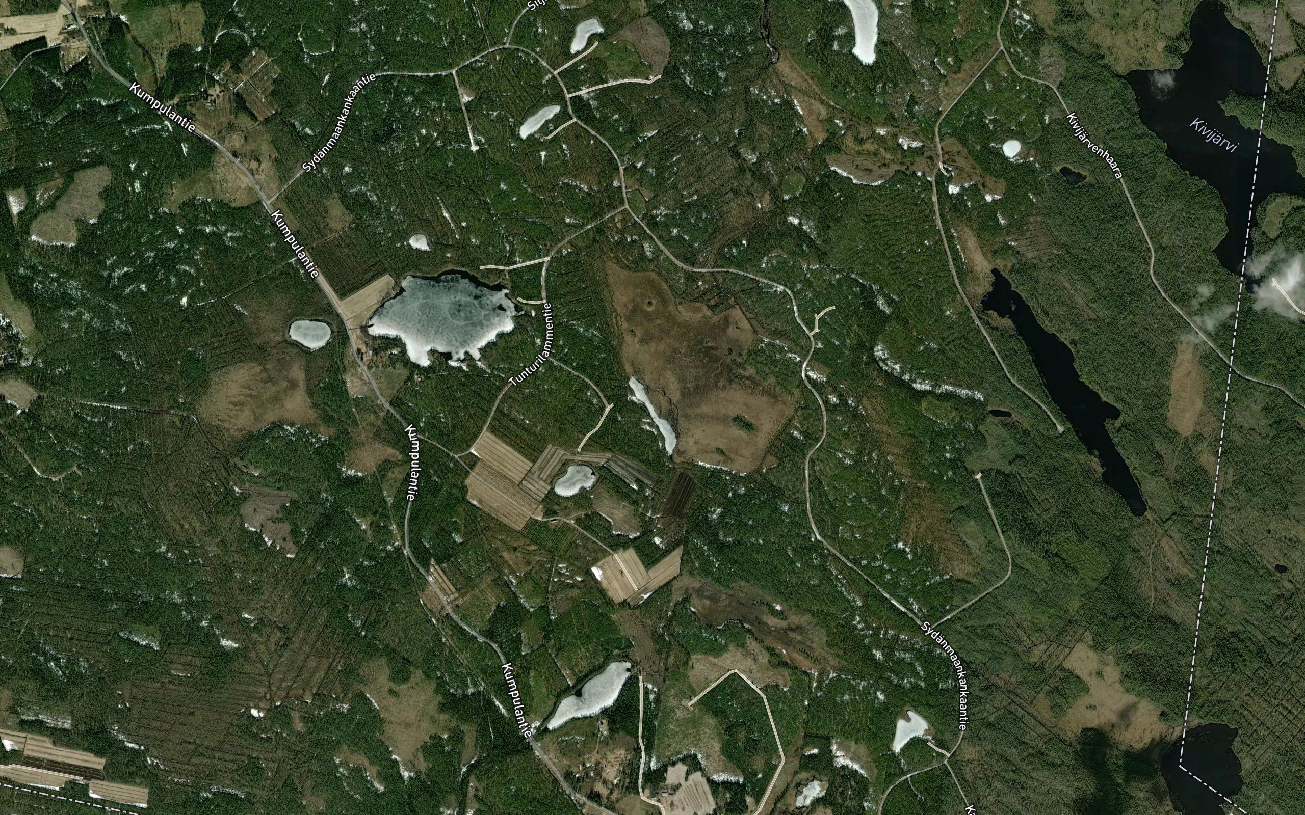 Neva-Hoikka