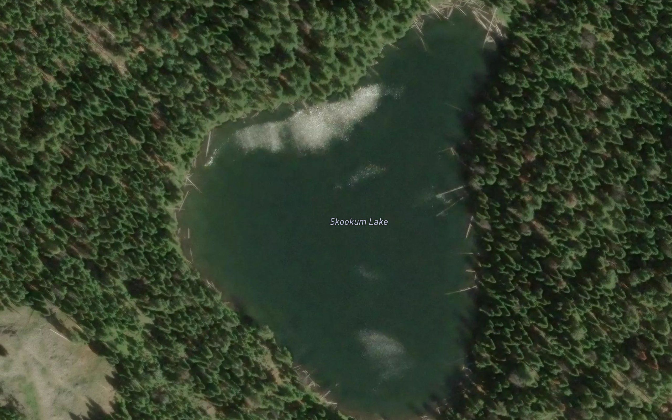 Skookum Lake