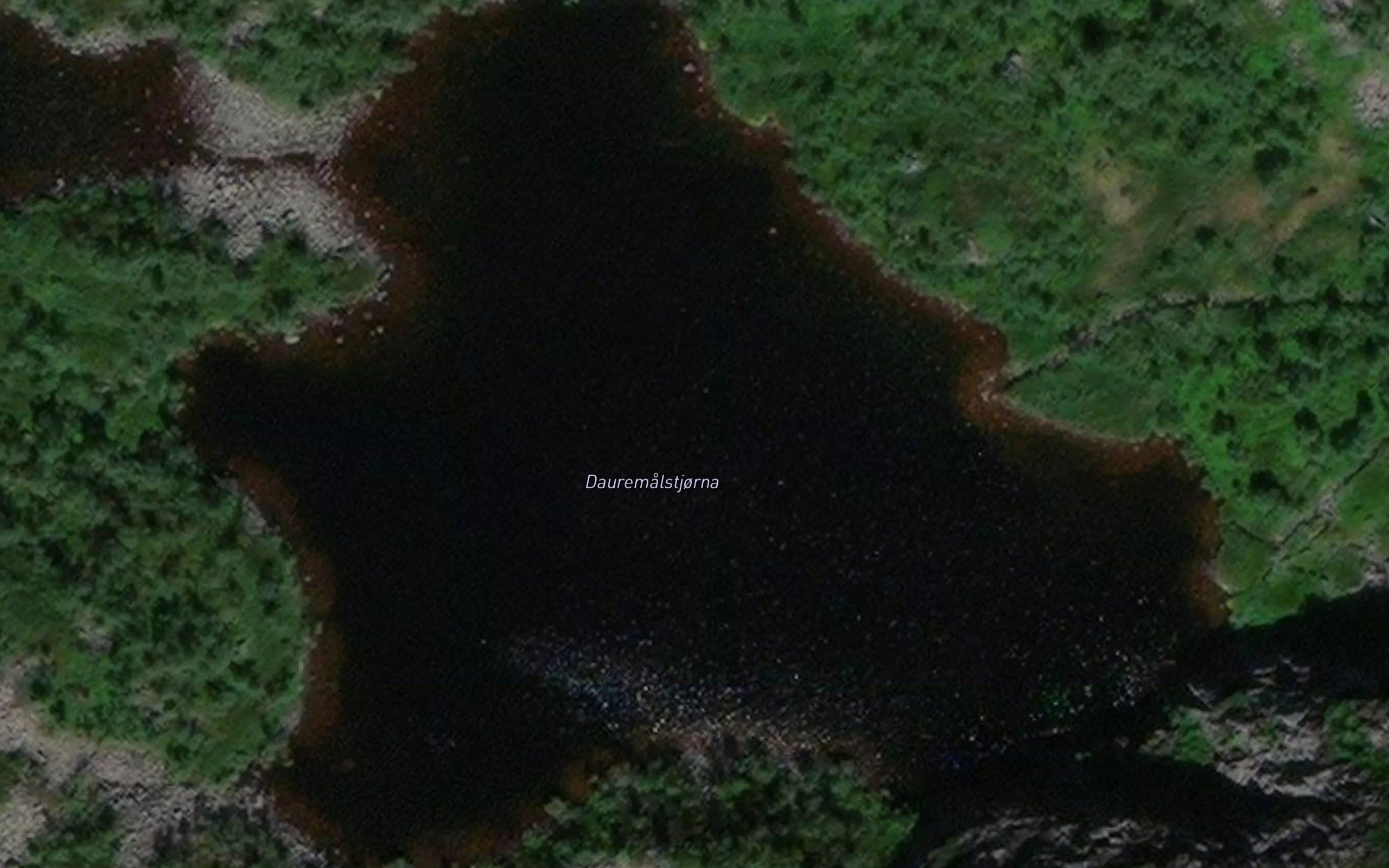 Dauremalstjorni