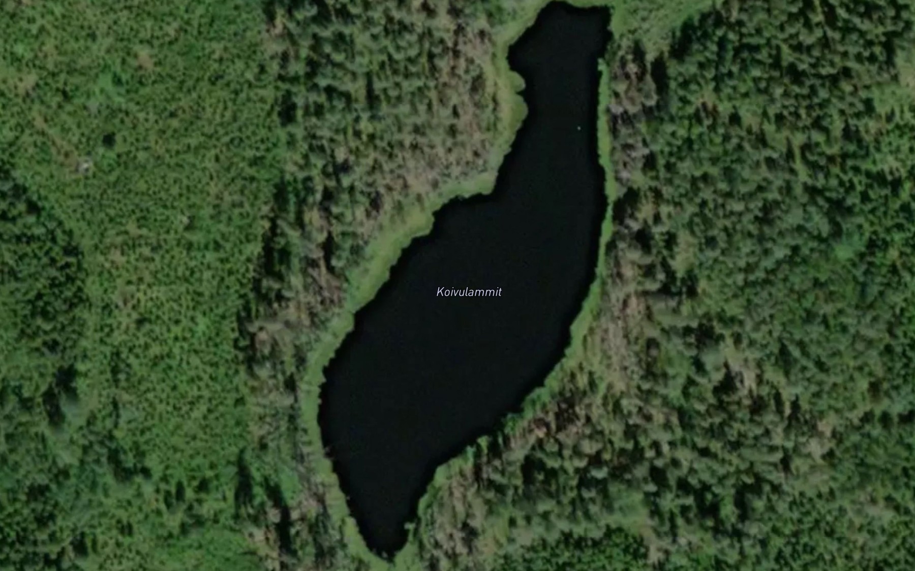 Satellite map of the Koivulammit