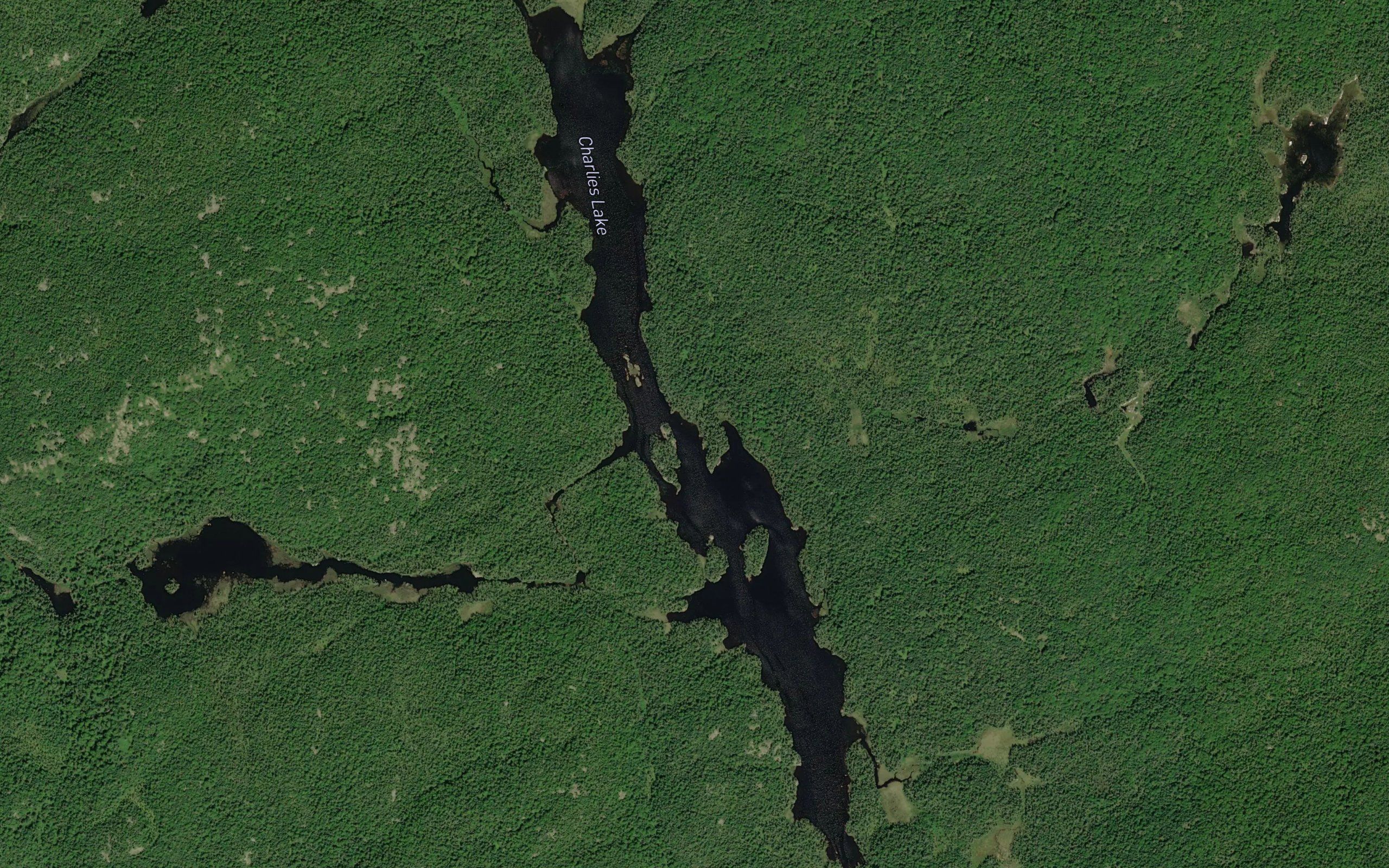 Charlies Lake