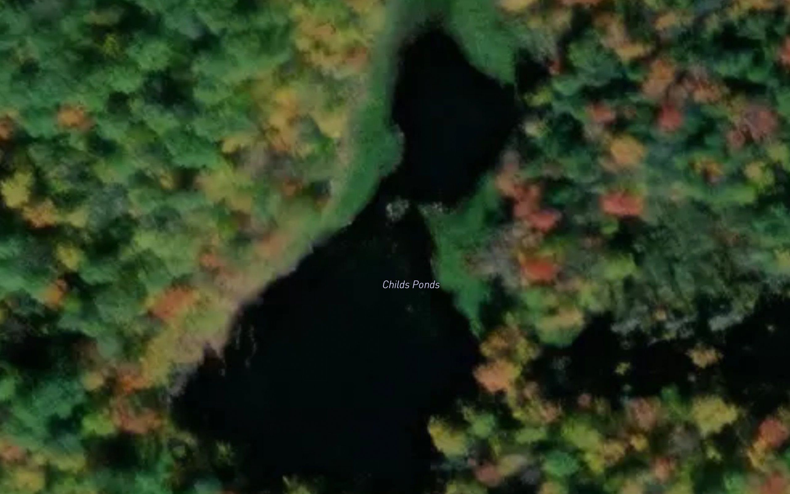Childs Ponds