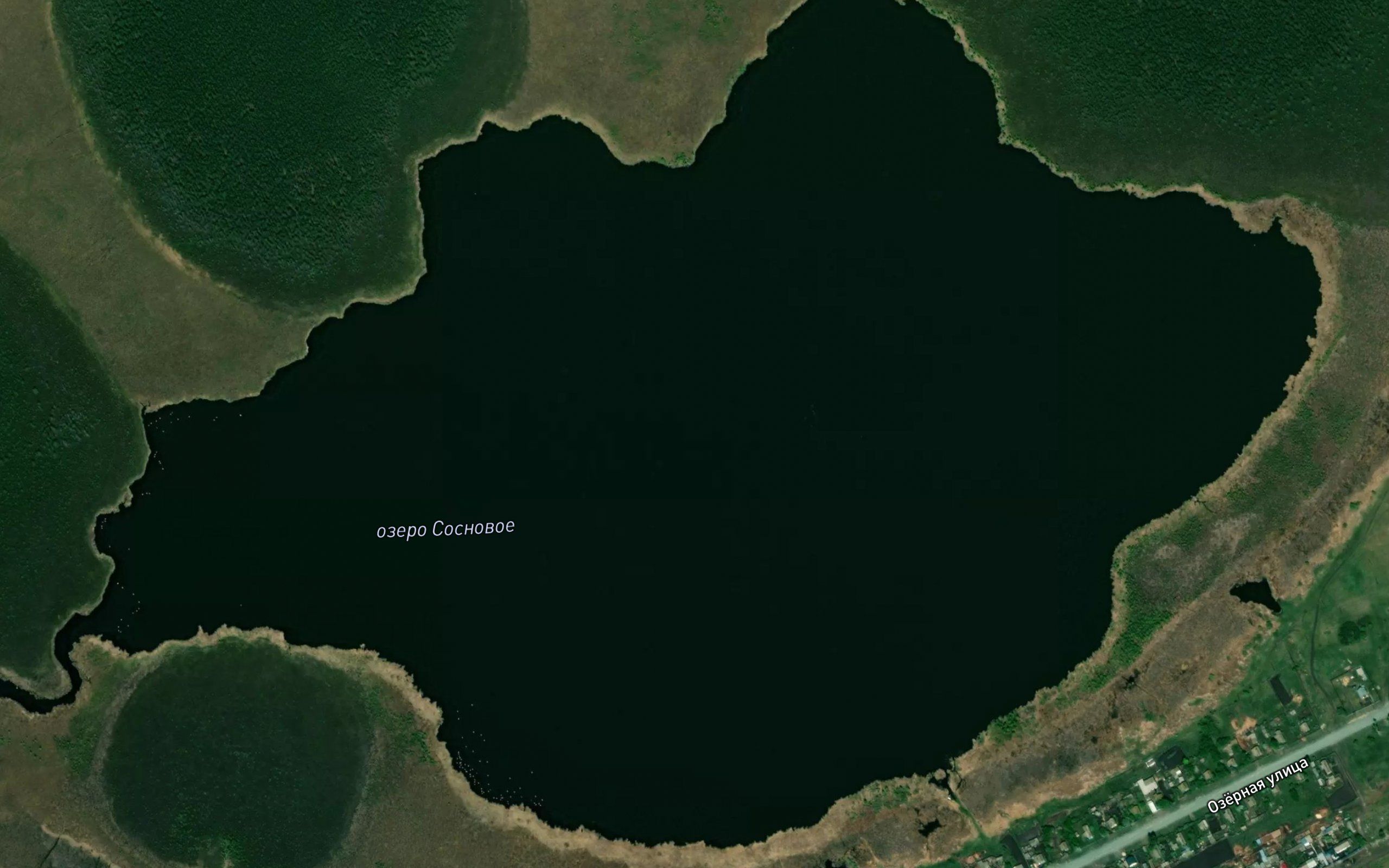 Ozero Sosnovoye