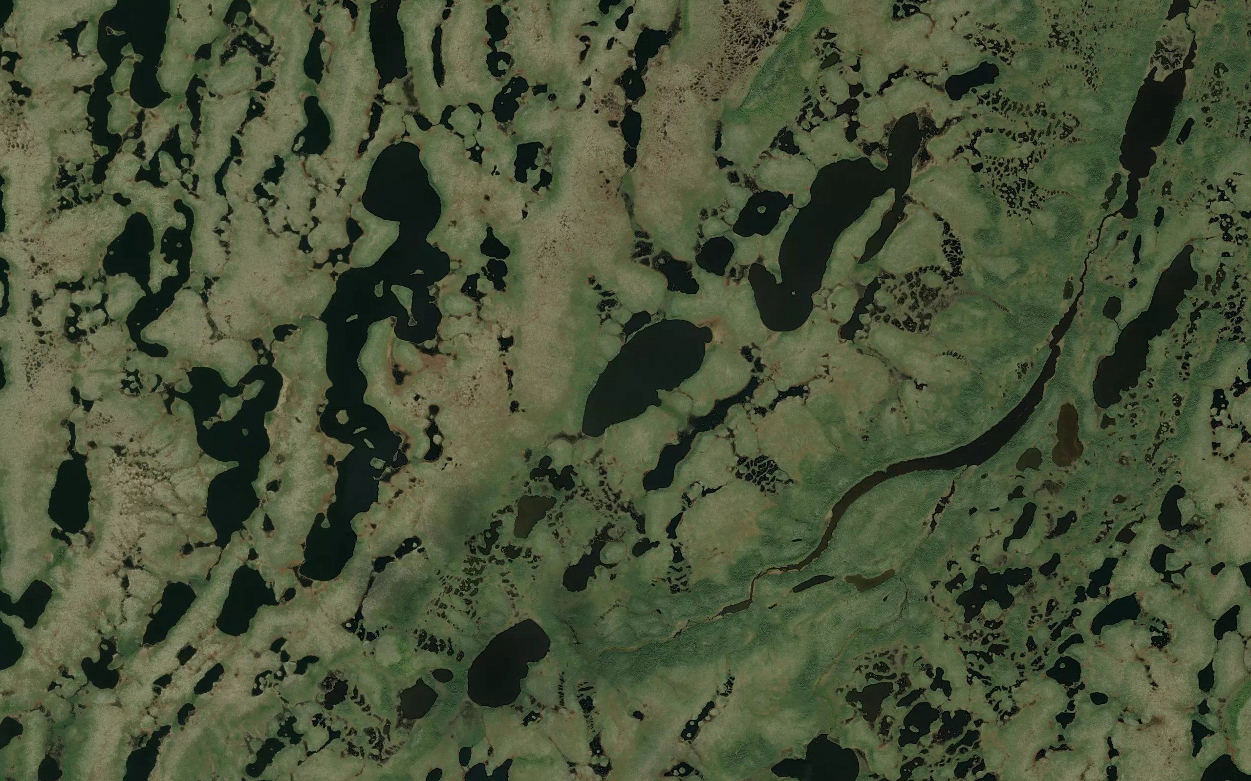 Kidney Lakes
