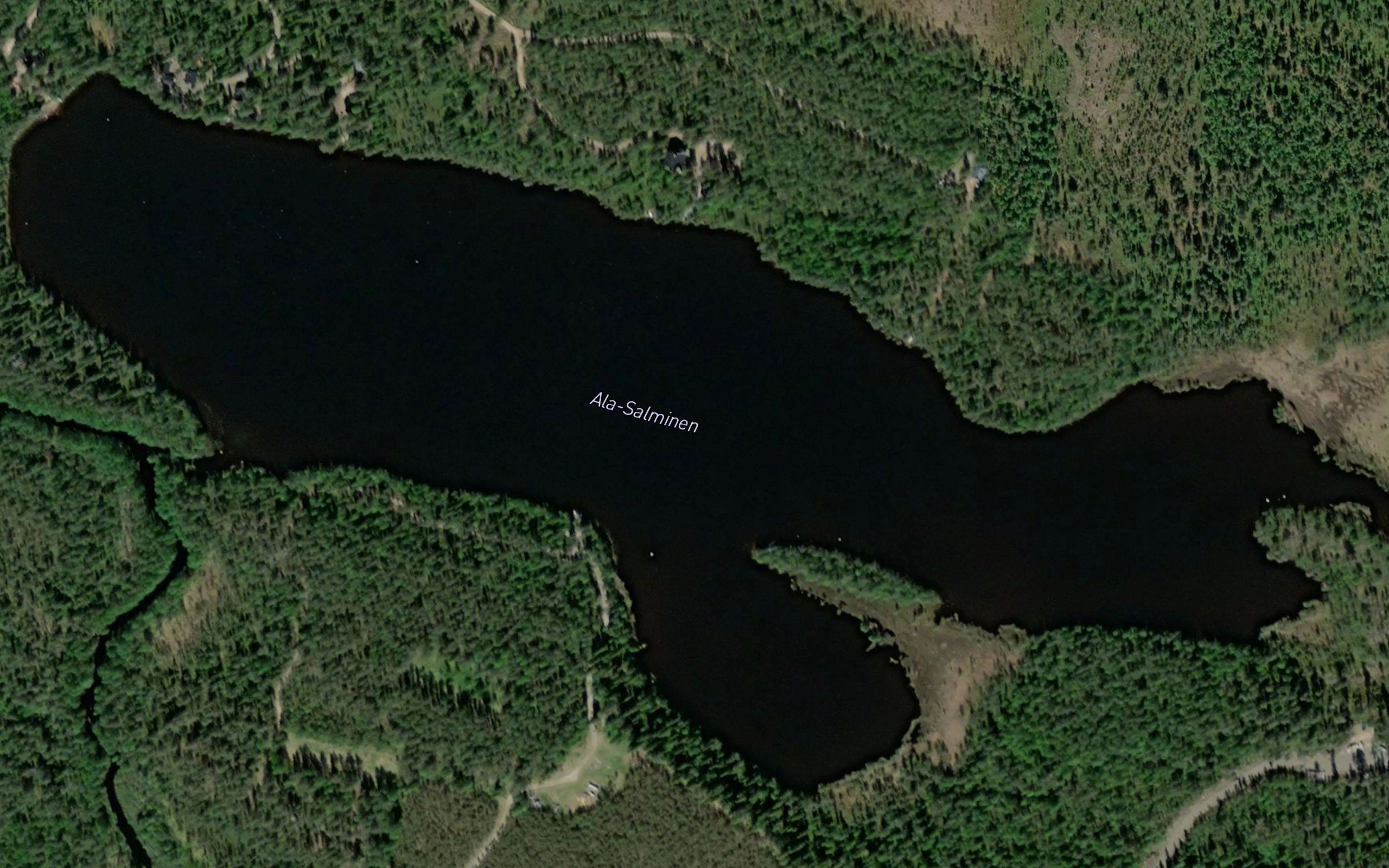 Ala-Salminen