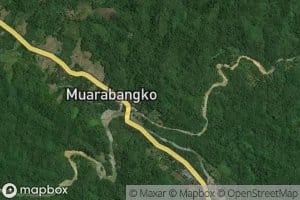 Batang Bangko