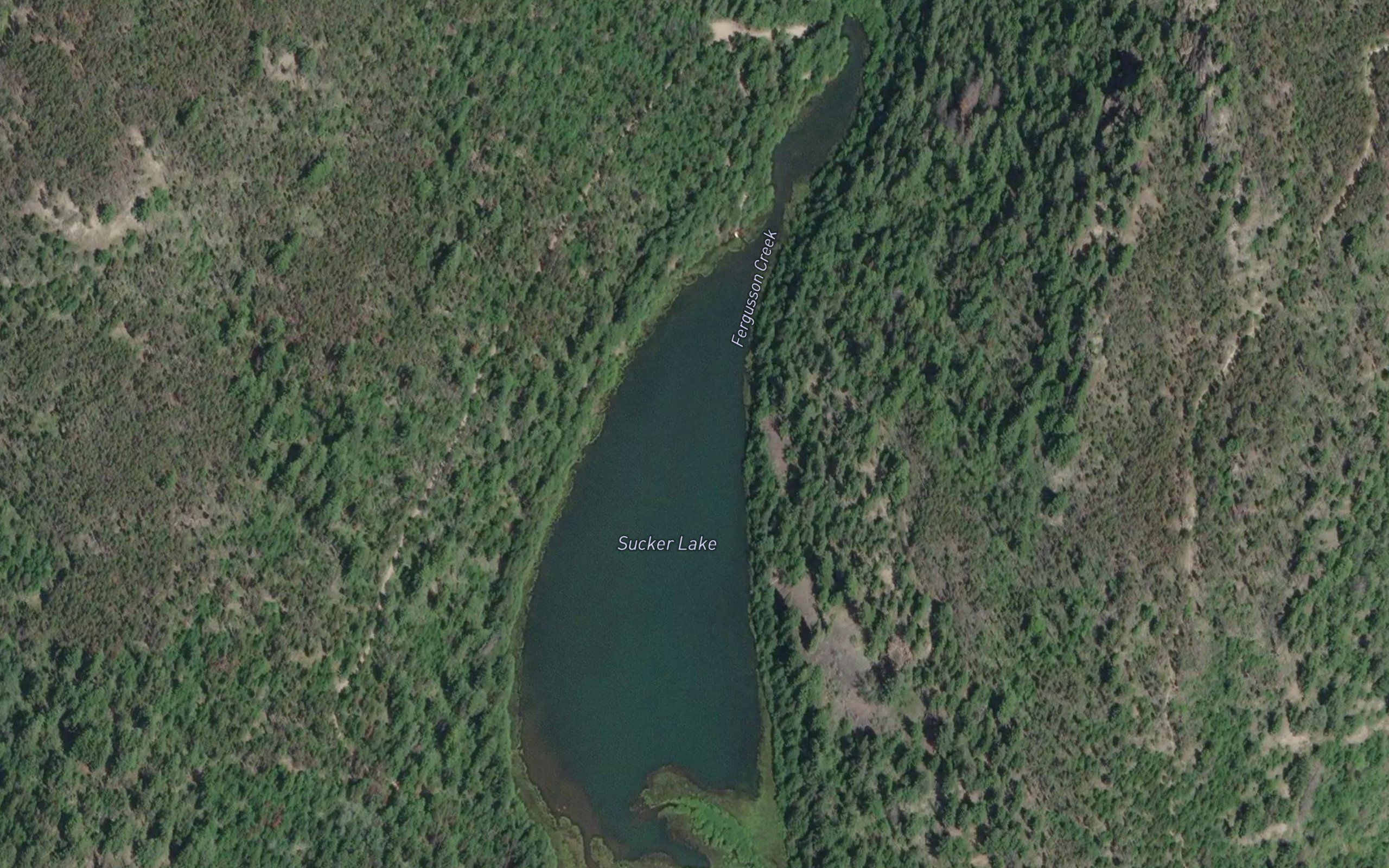 Sucker Lake