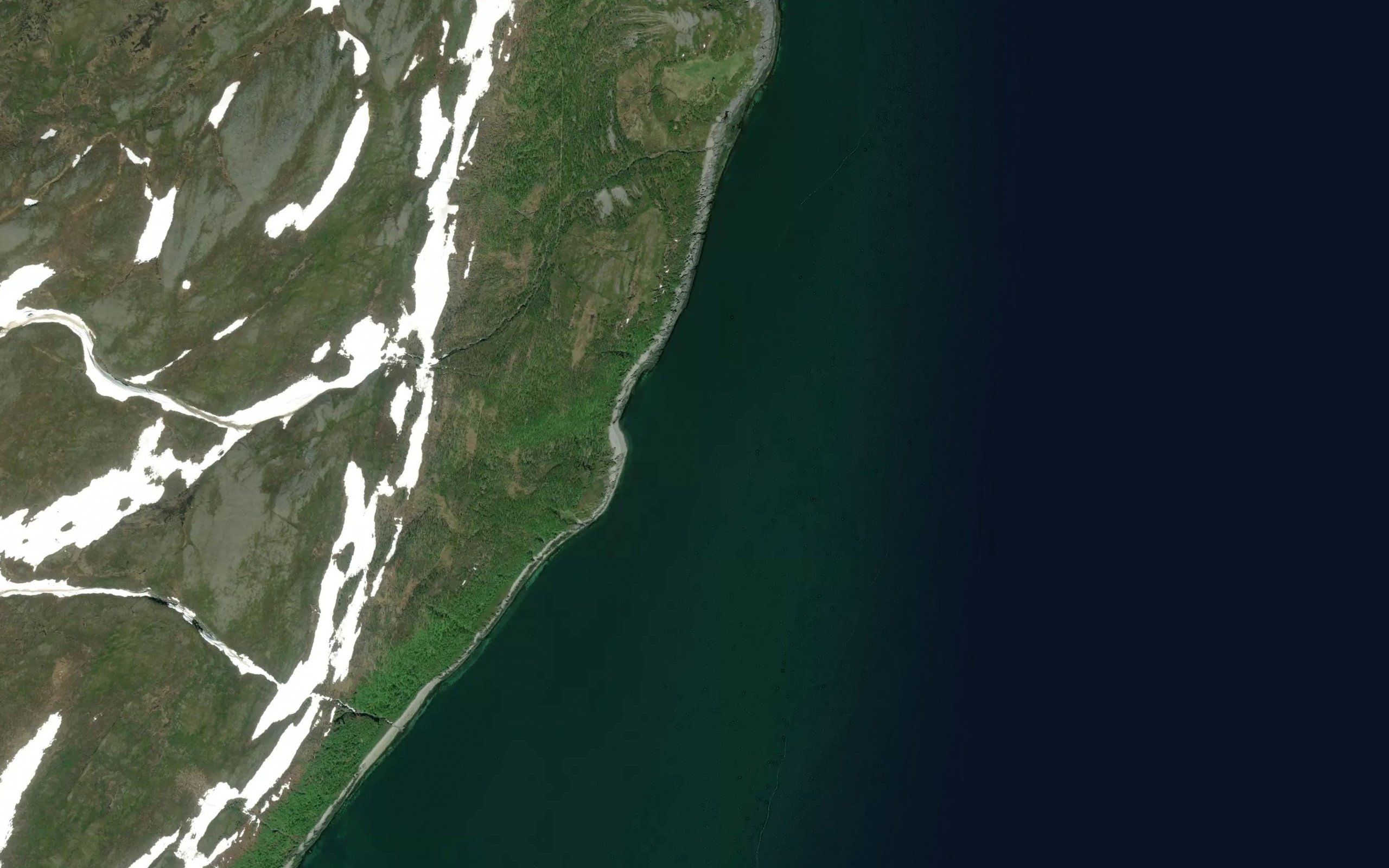 Myggvika