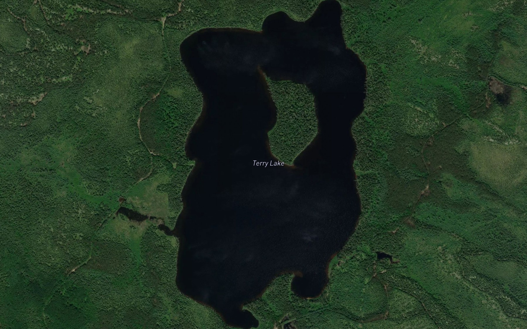Satellite map of the Terry Lake
